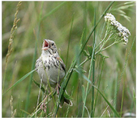 Electronics 11 03502 i009