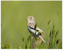 Electronics 11 03502 i010