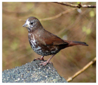 Electronics 11 03502 i011