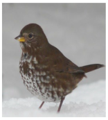 Electronics 11 03502 i012