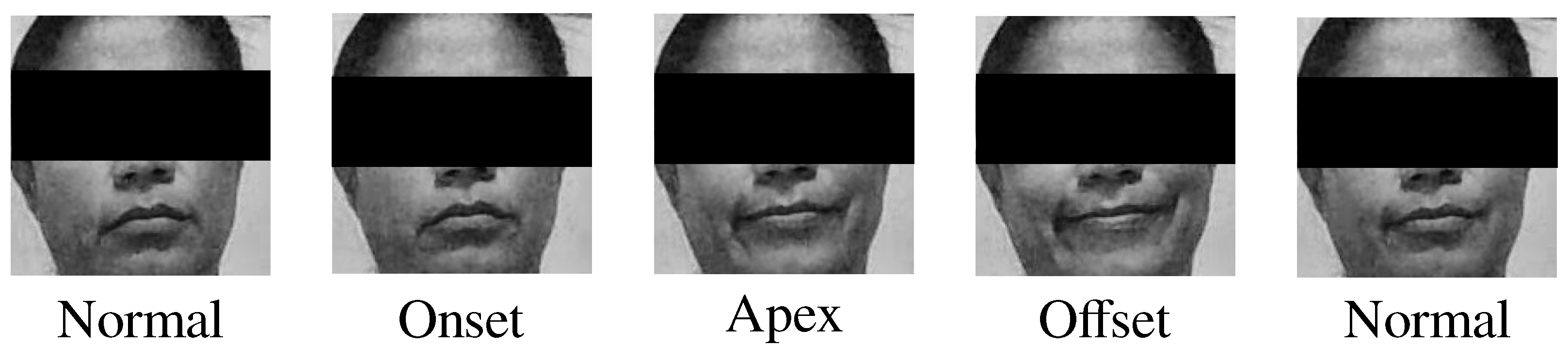 Electronics 11 03533 g001 Electronics 11 03533 g001