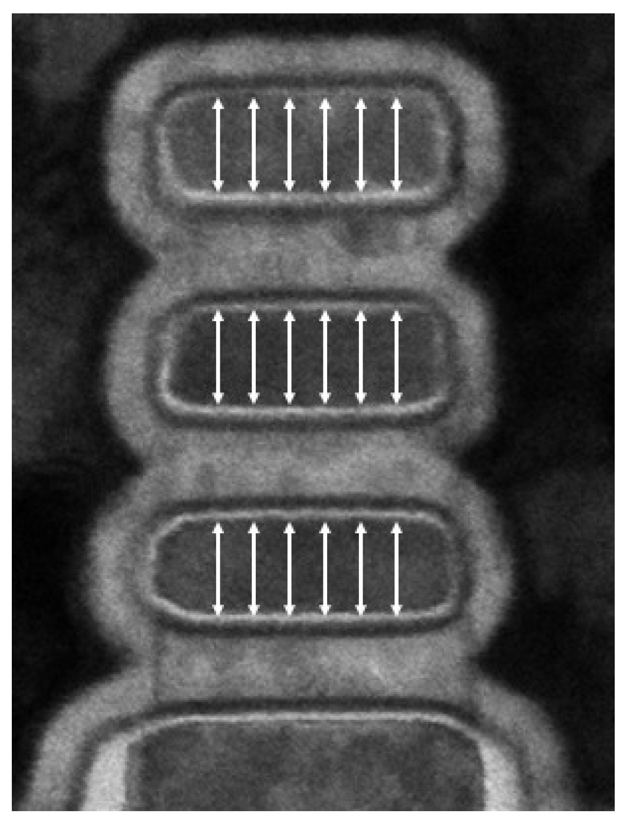 Electronics 11 03589 g005