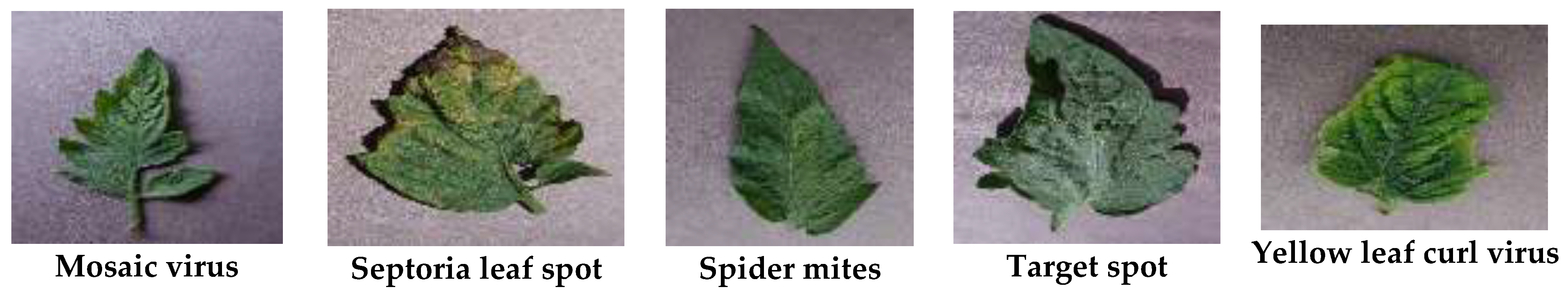 Electronics 11 03618 g001b