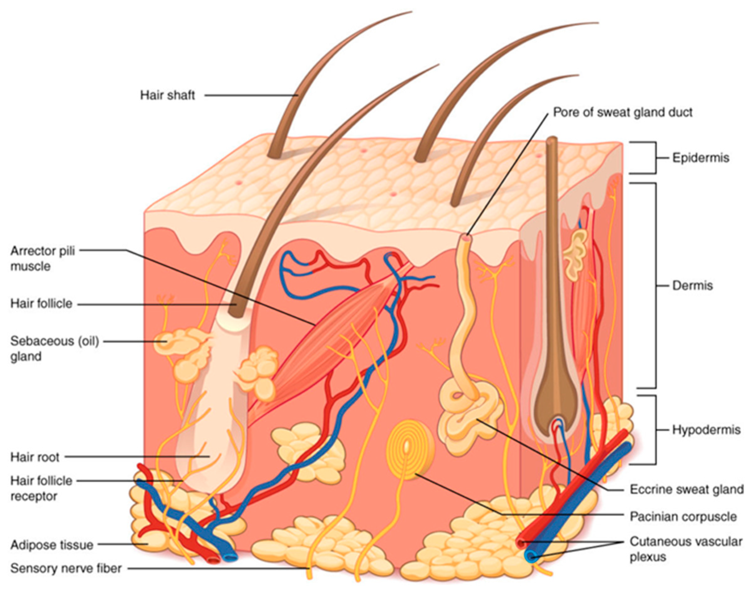 Electronics 11 03623 g001