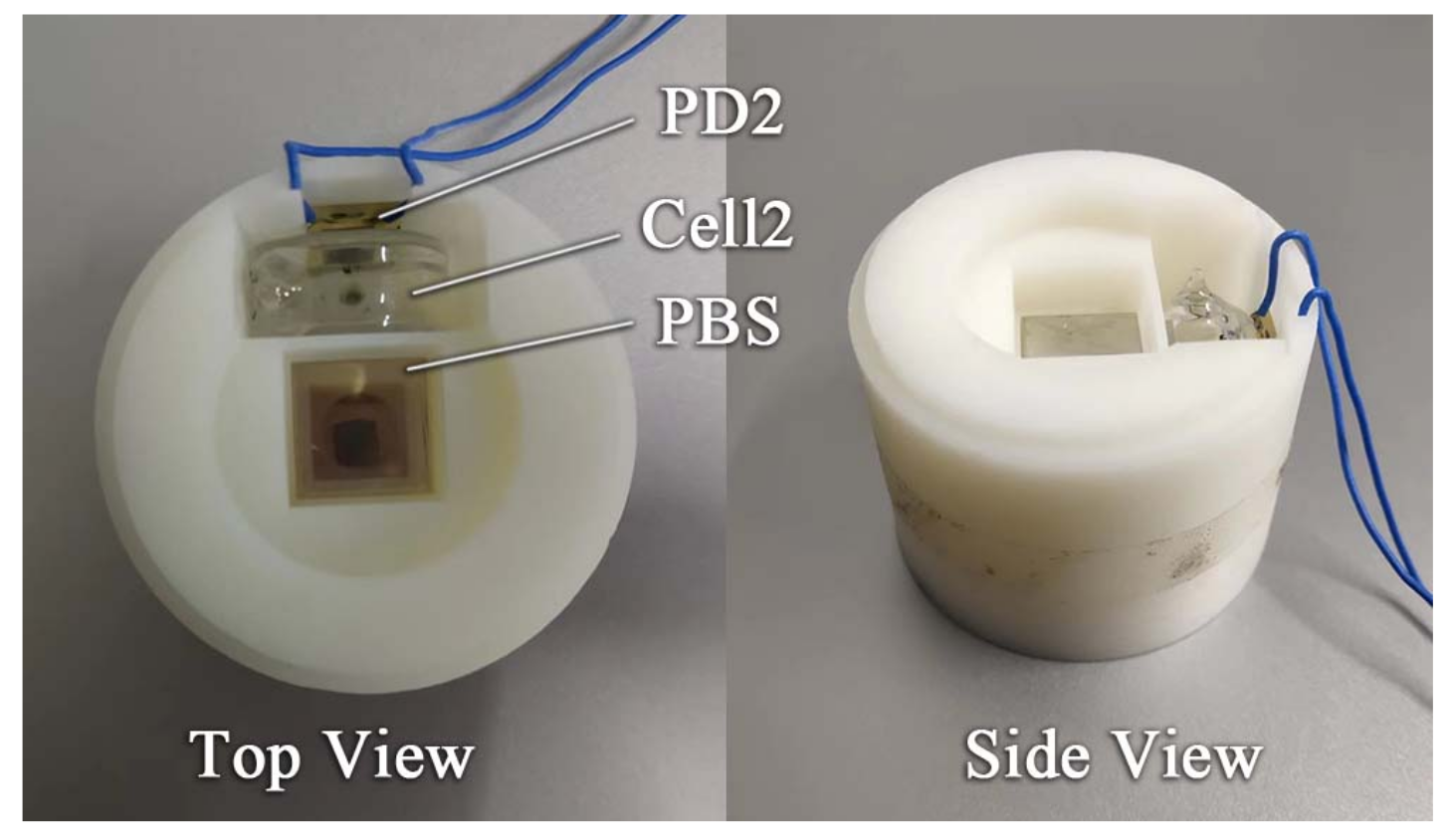 Electronics 11 03666 g004 Electronics 11 03666 g004