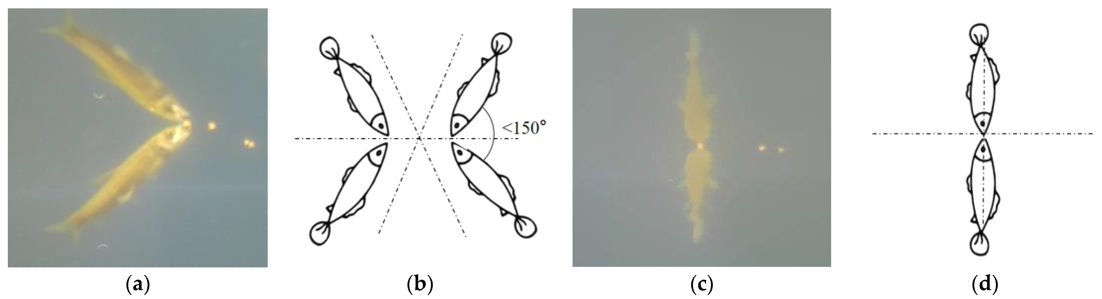 Electronics 11 03856 g002