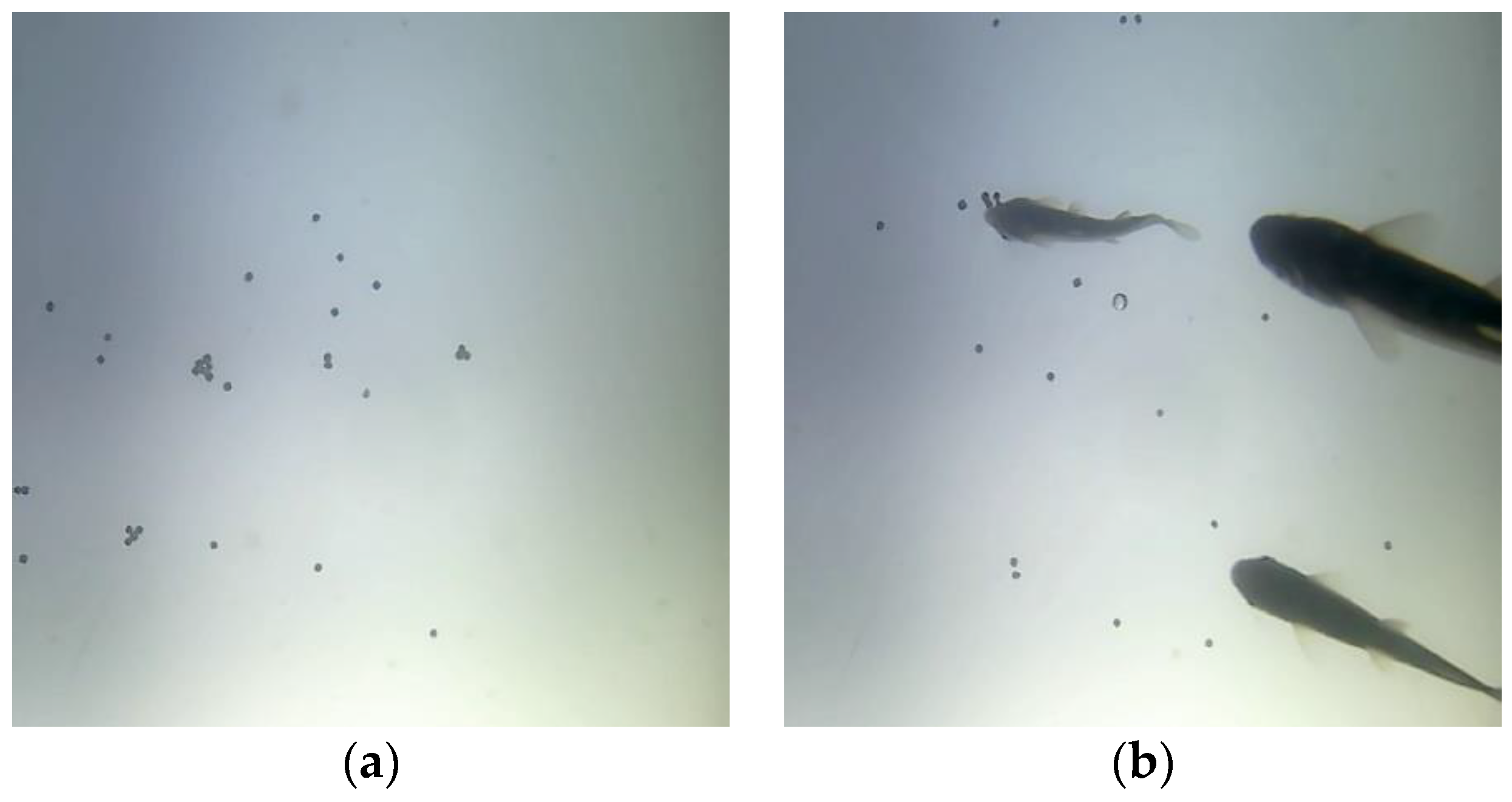 Electronics 11 03856 g004