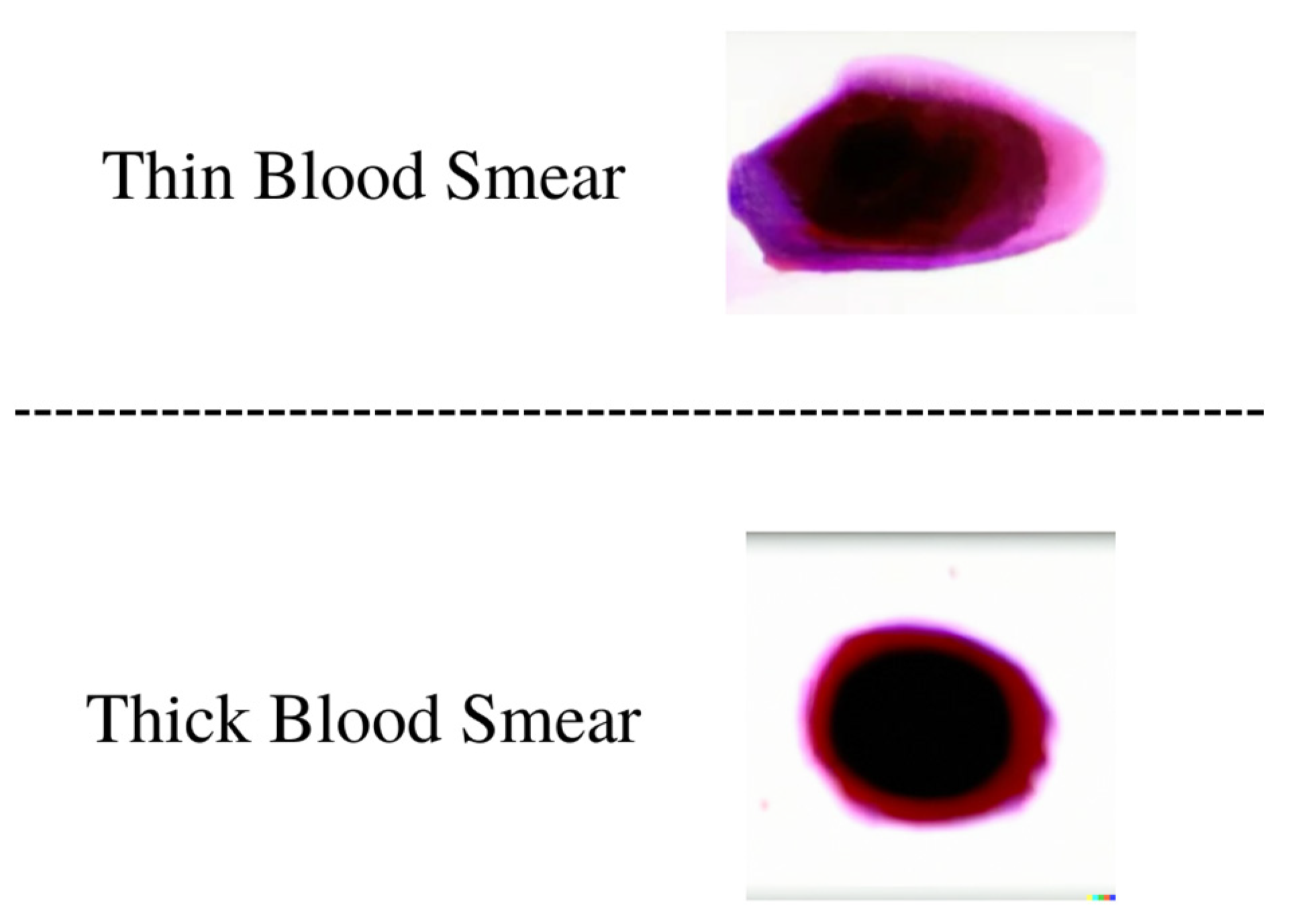 Electronics 11 03999 g001