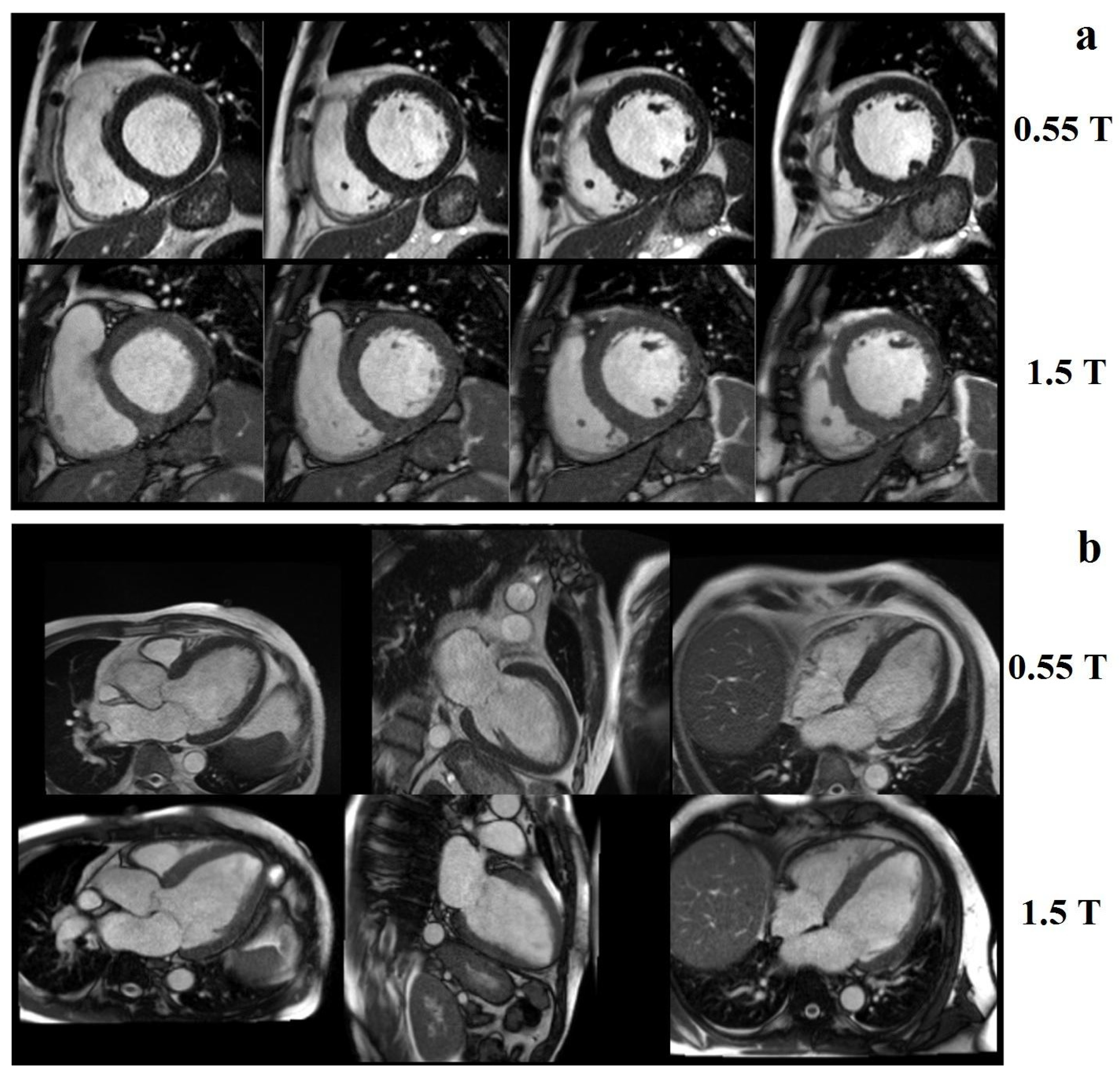 Electronics 11 04233 g010 Electronics 11 04233 g010
