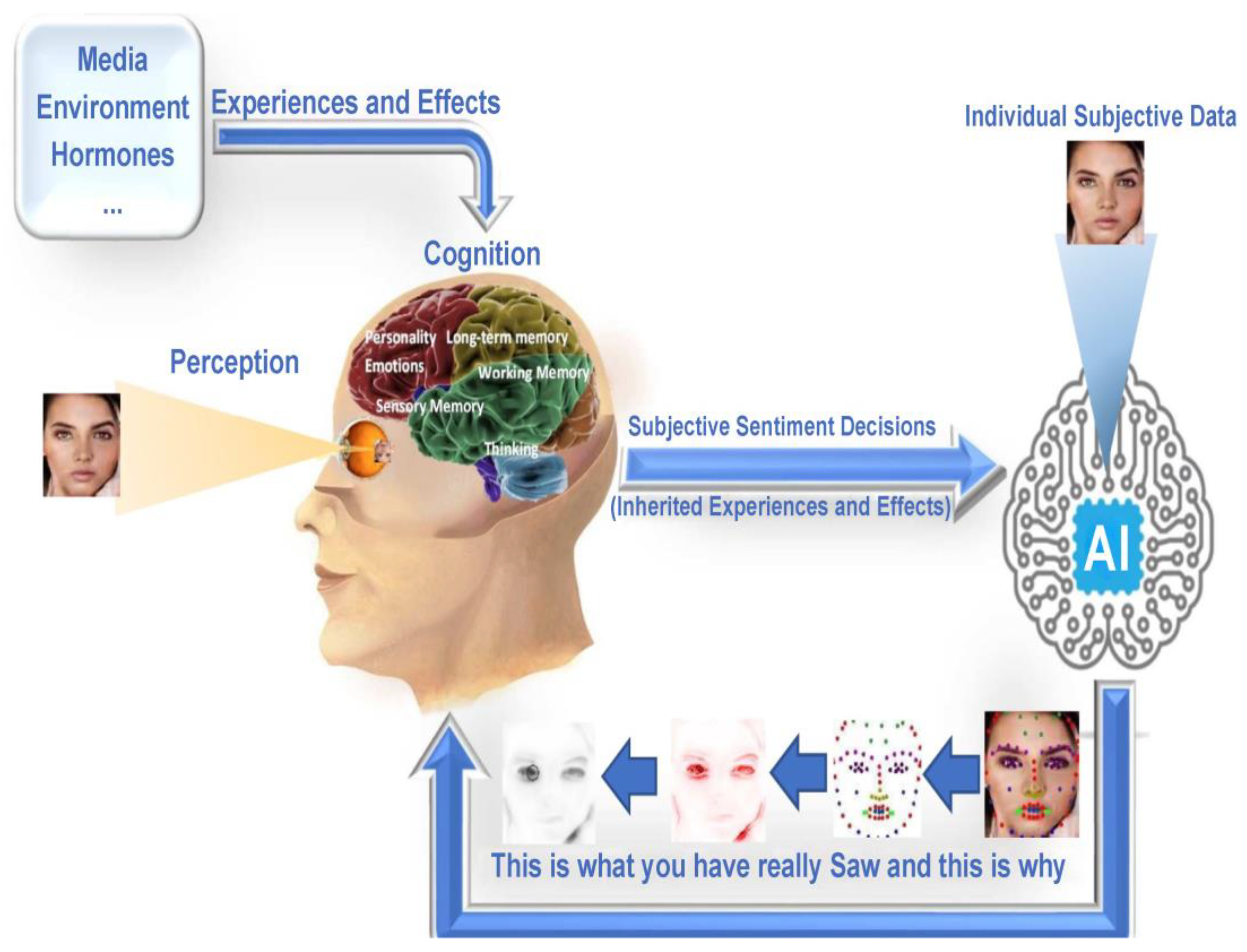 Electronics 12 00048 g001