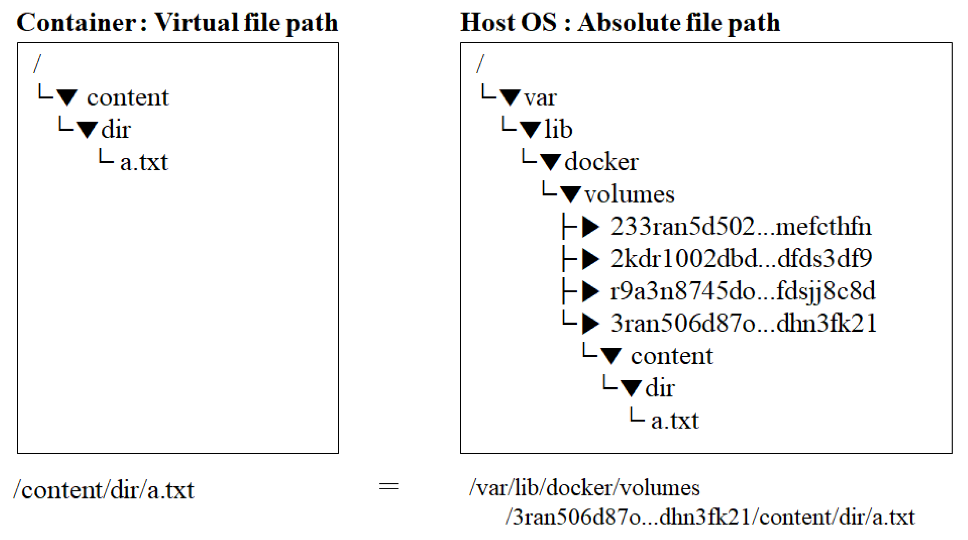 Electronics 12 00052 g004 Electronics 12 00052 g004