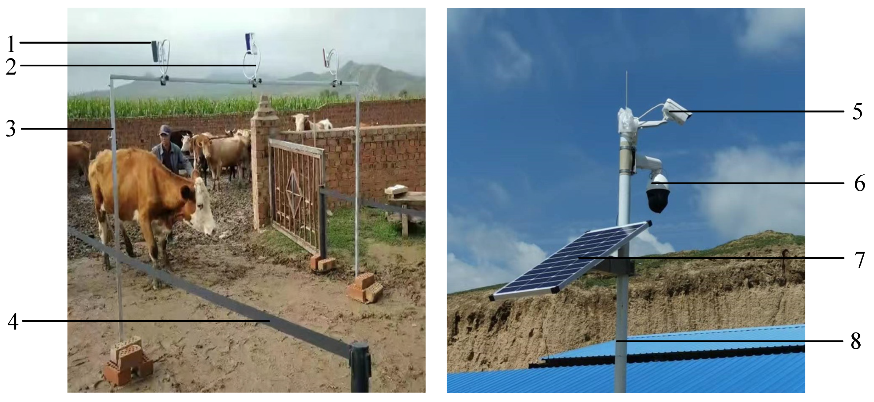 Electronics 12 00156 g002