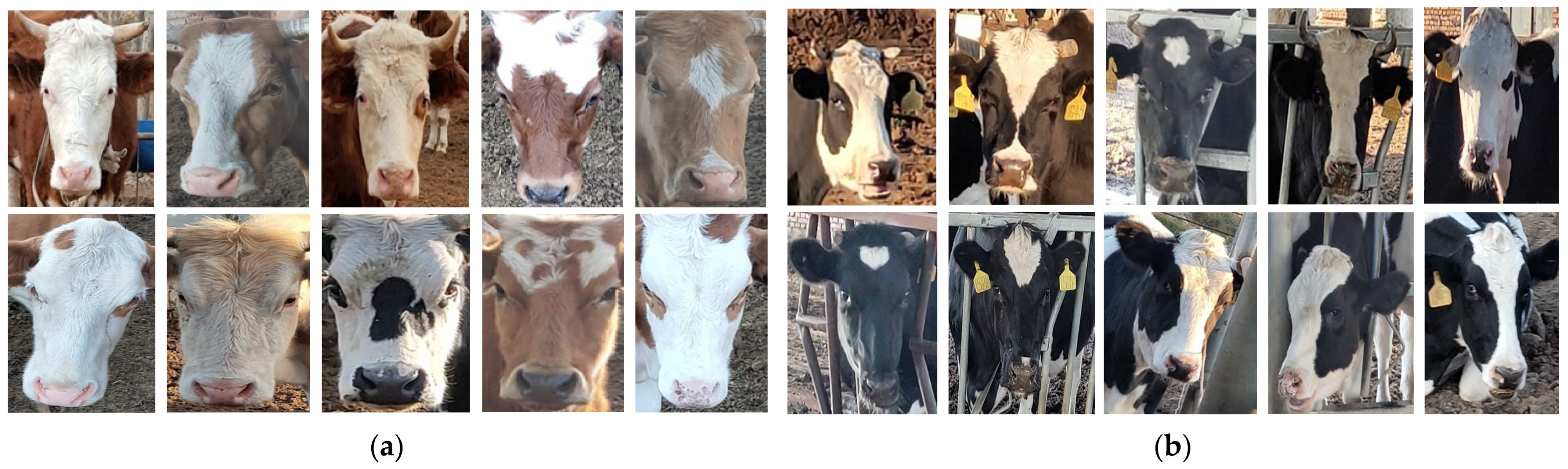 Electronics 12 00156 g003