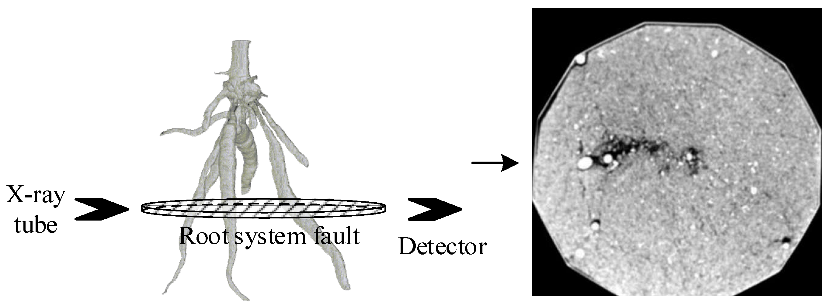 Electronics 12 00276 g006
