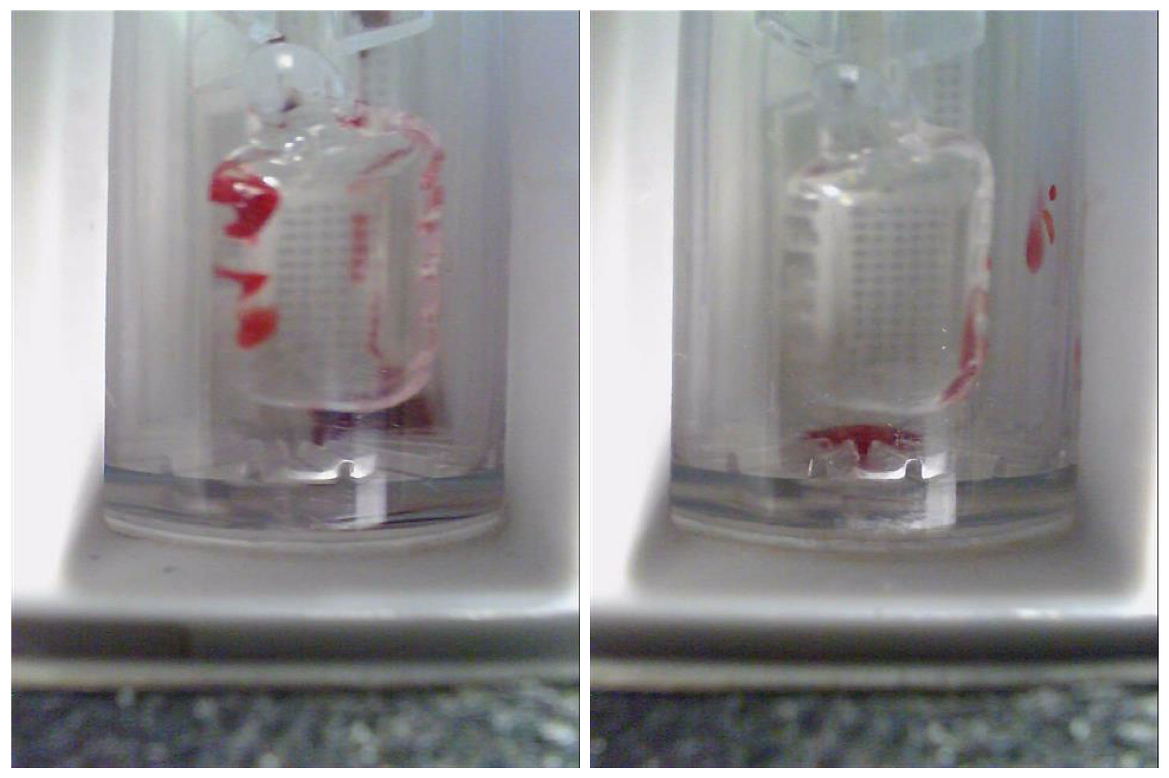 Electronics 12 00344 g003