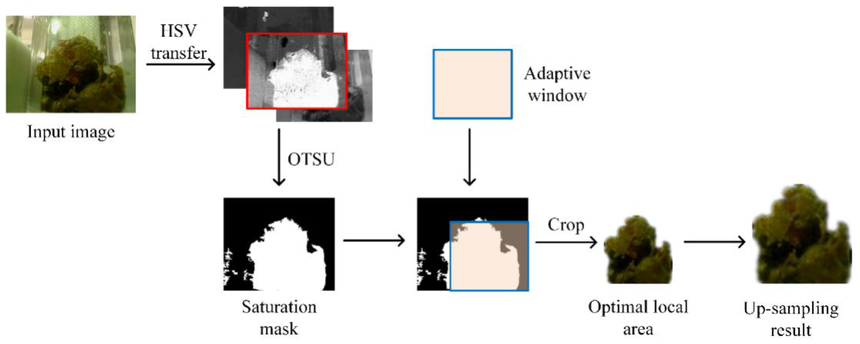 Electronics 12 00344 g004