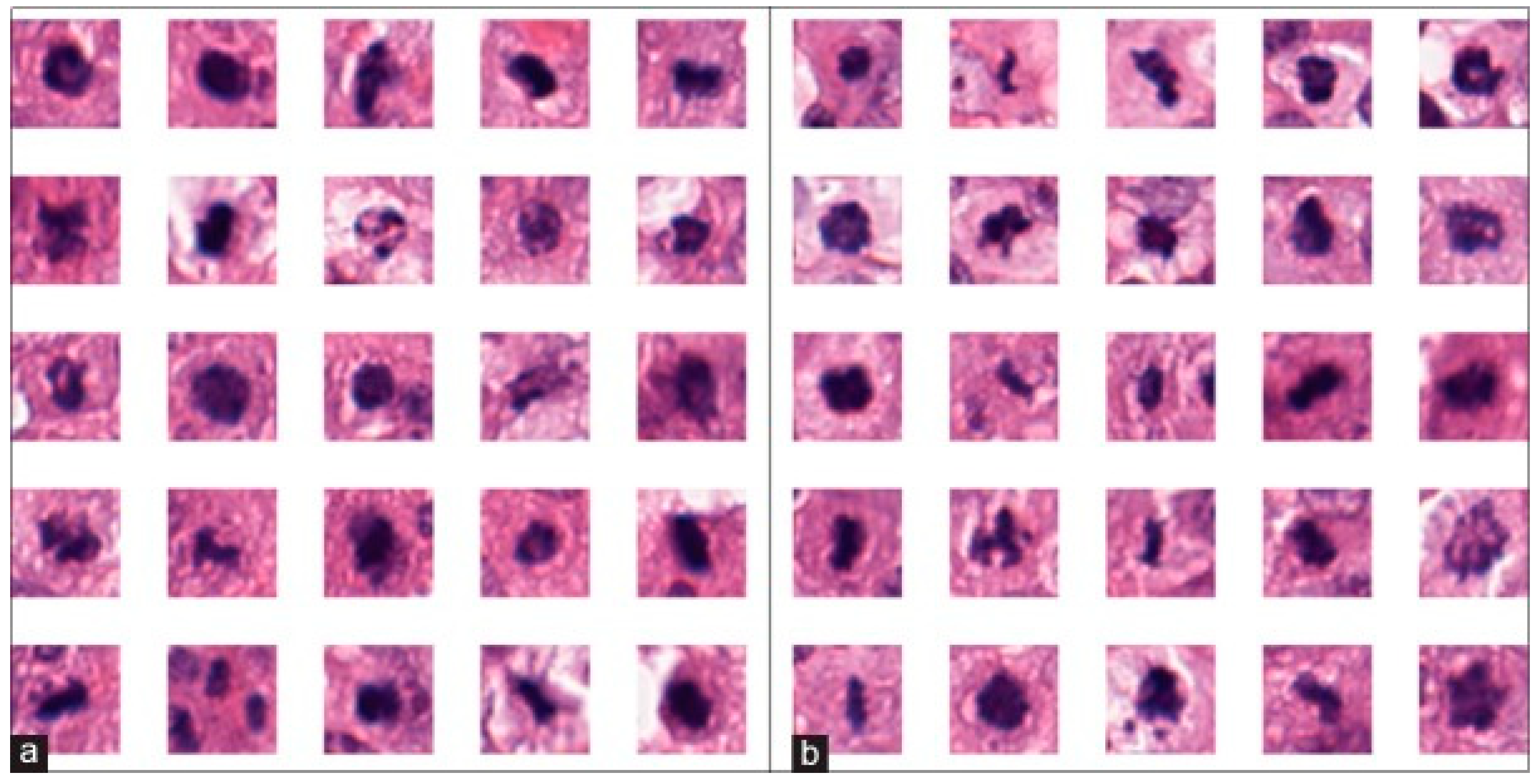 Electronics 12 00403 g004