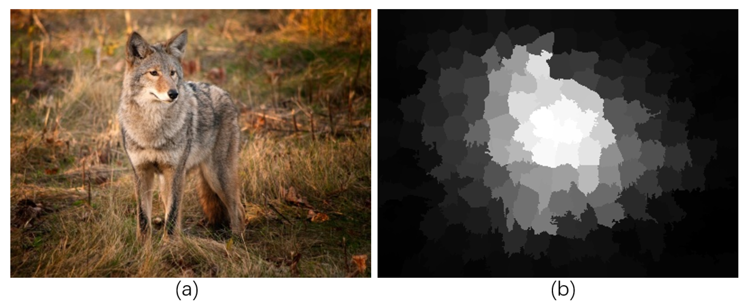 Electronics 12 00449 g008