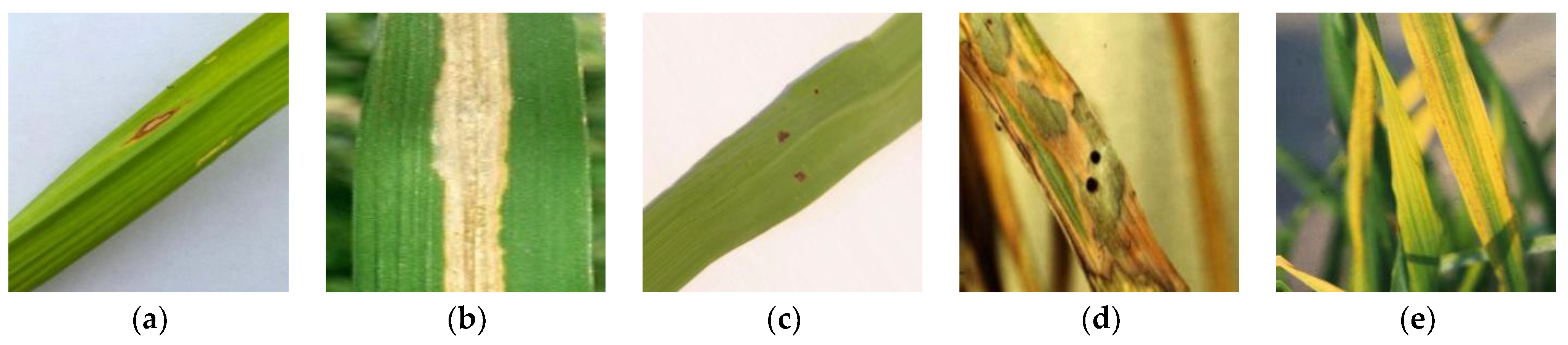 Electronics 12 00508 g006