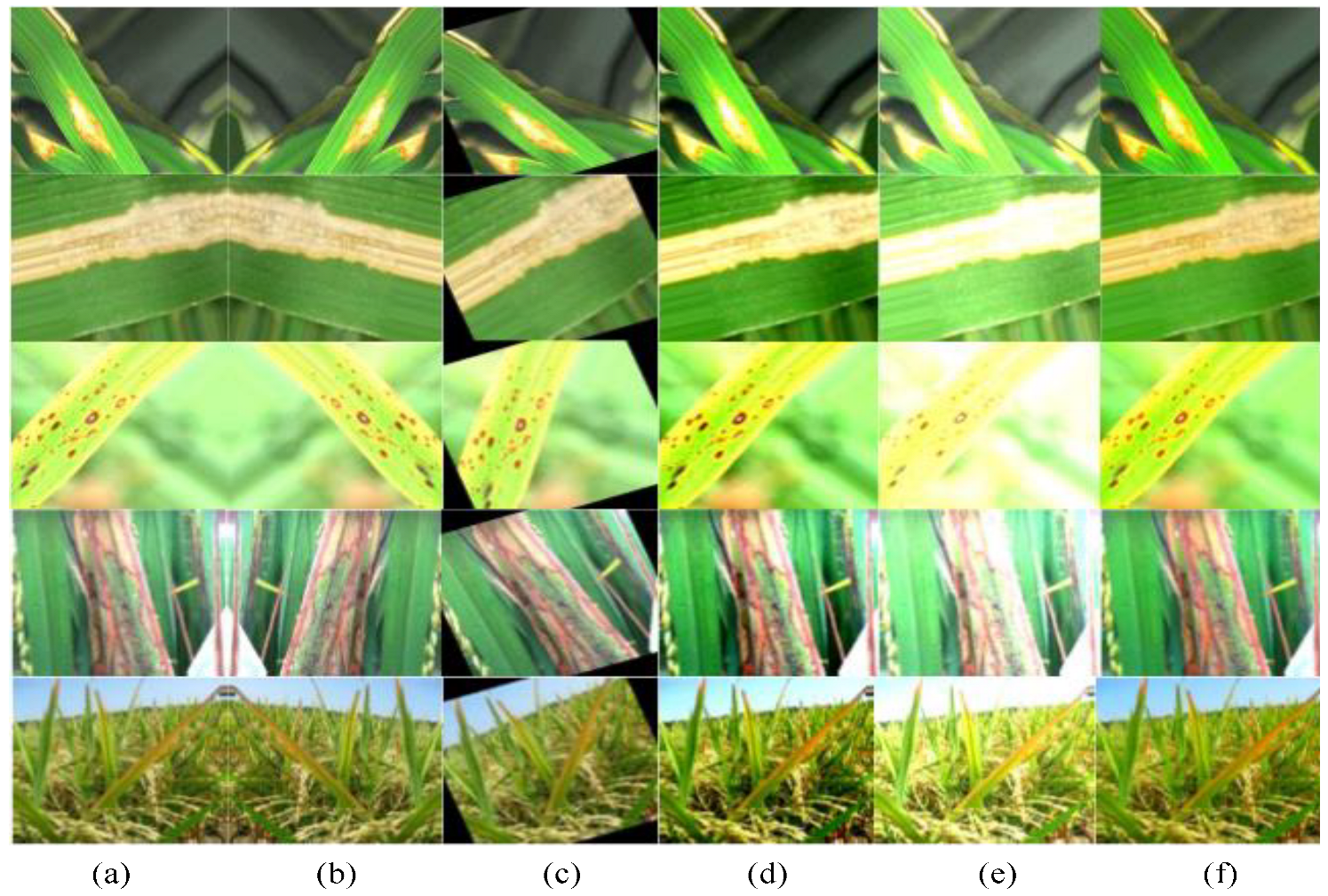 Electronics 12 00508 g007