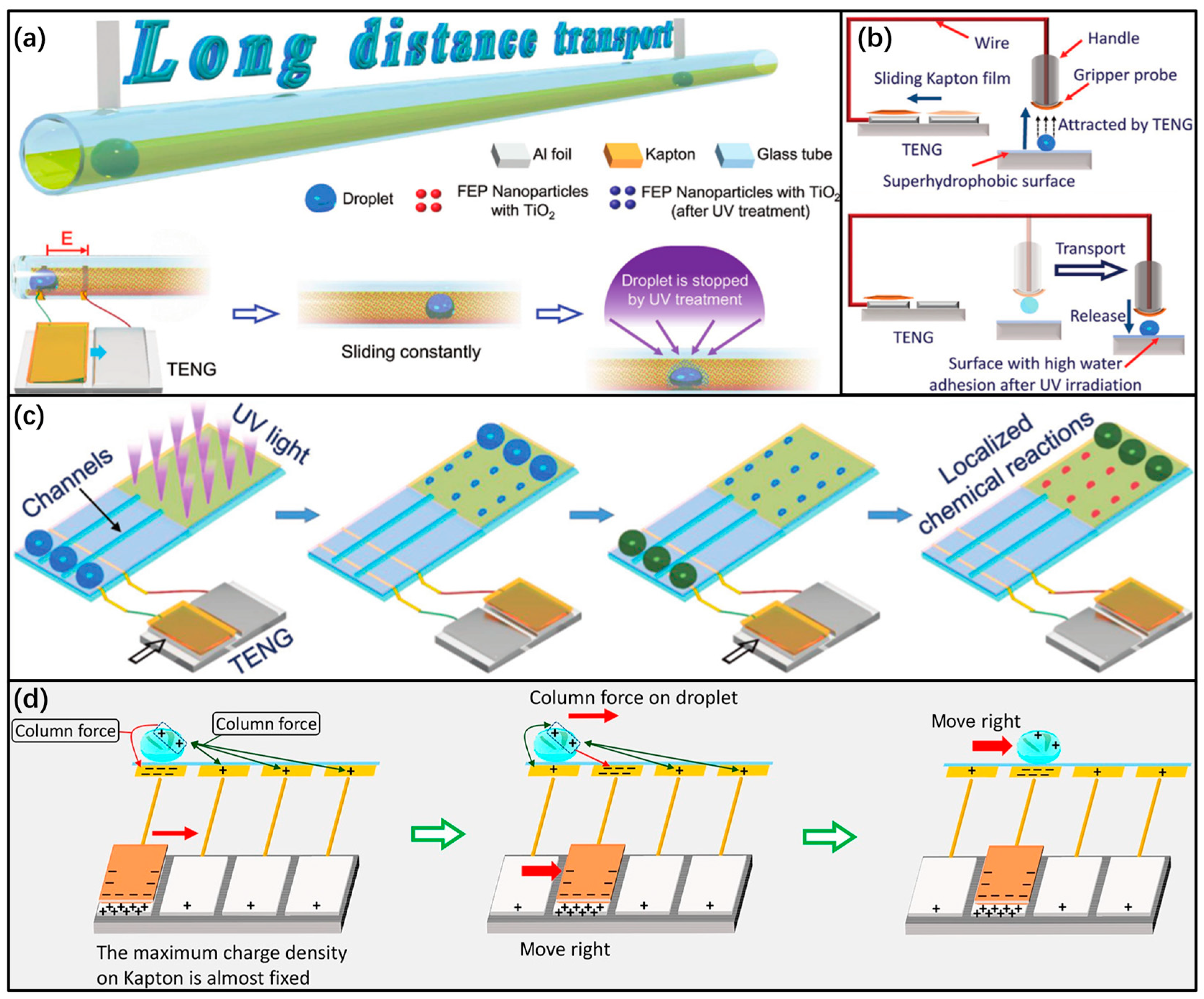 Electronics 12 00522 g004