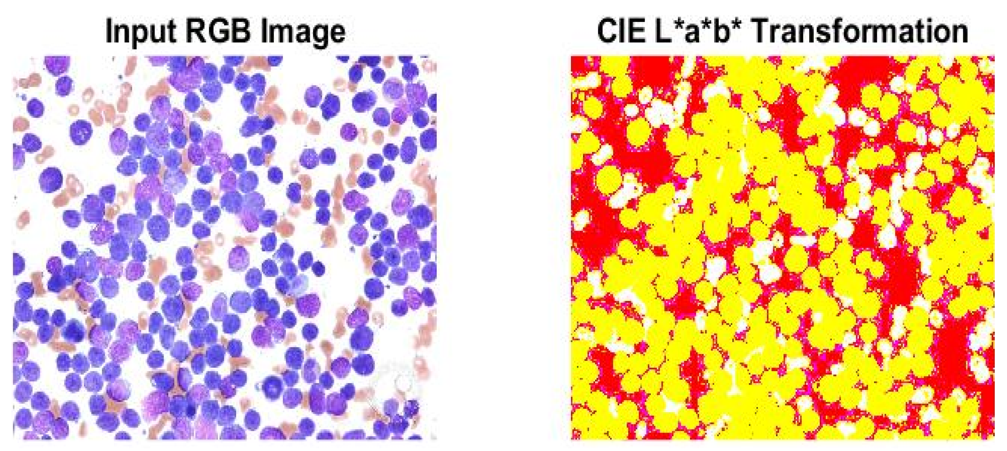 Electronics 12 00651 g005