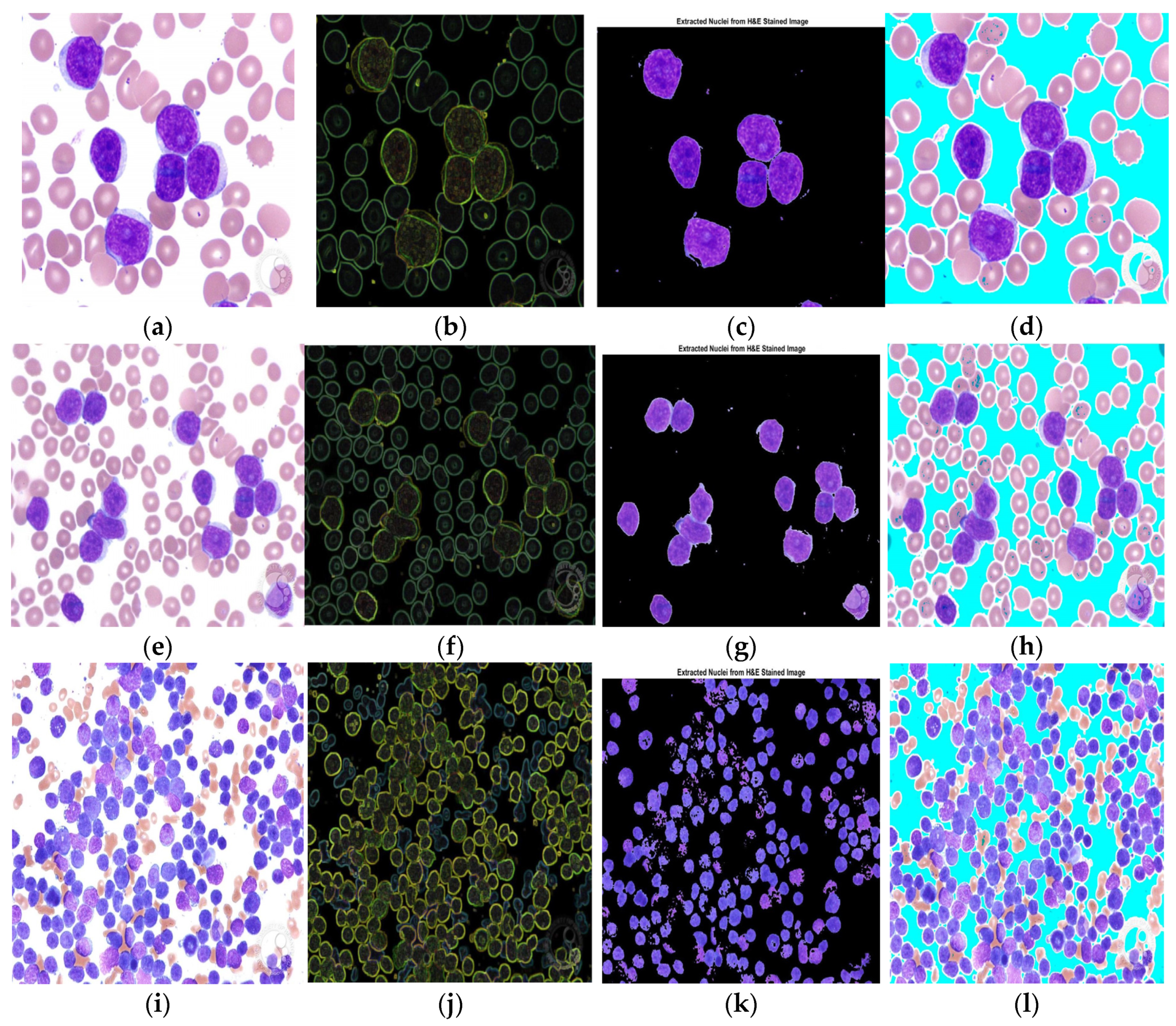Electronics 12 00651 g007