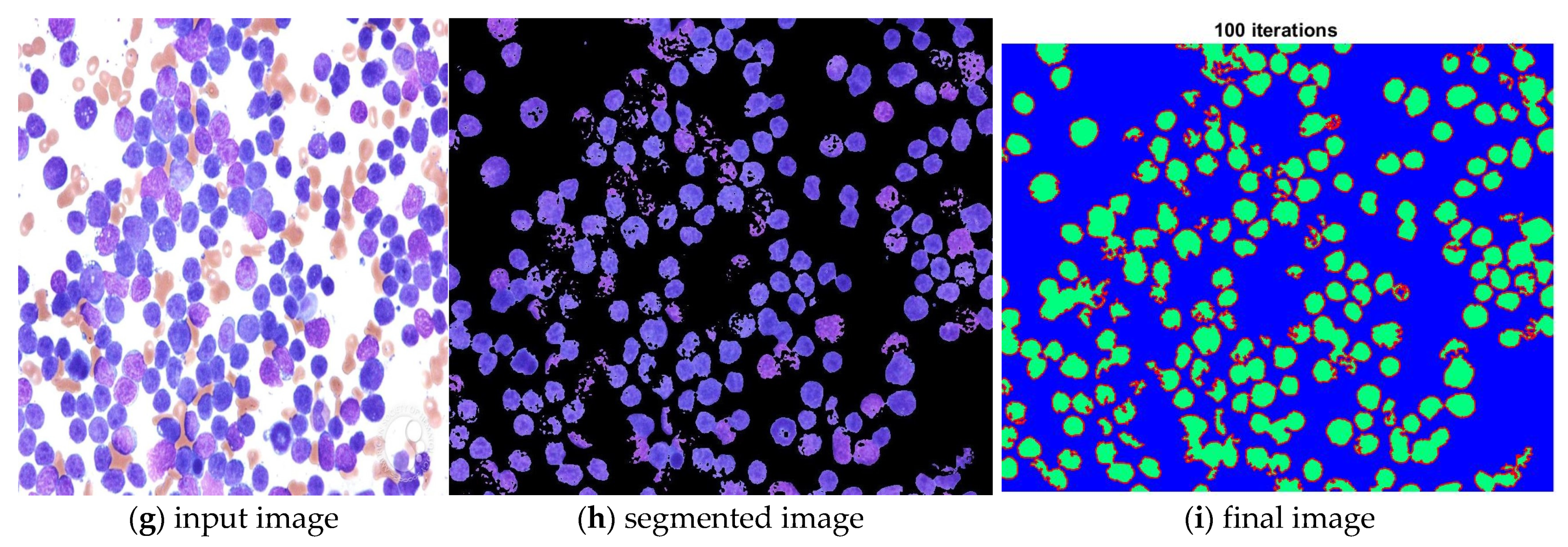 Electronics 12 00651 g009b