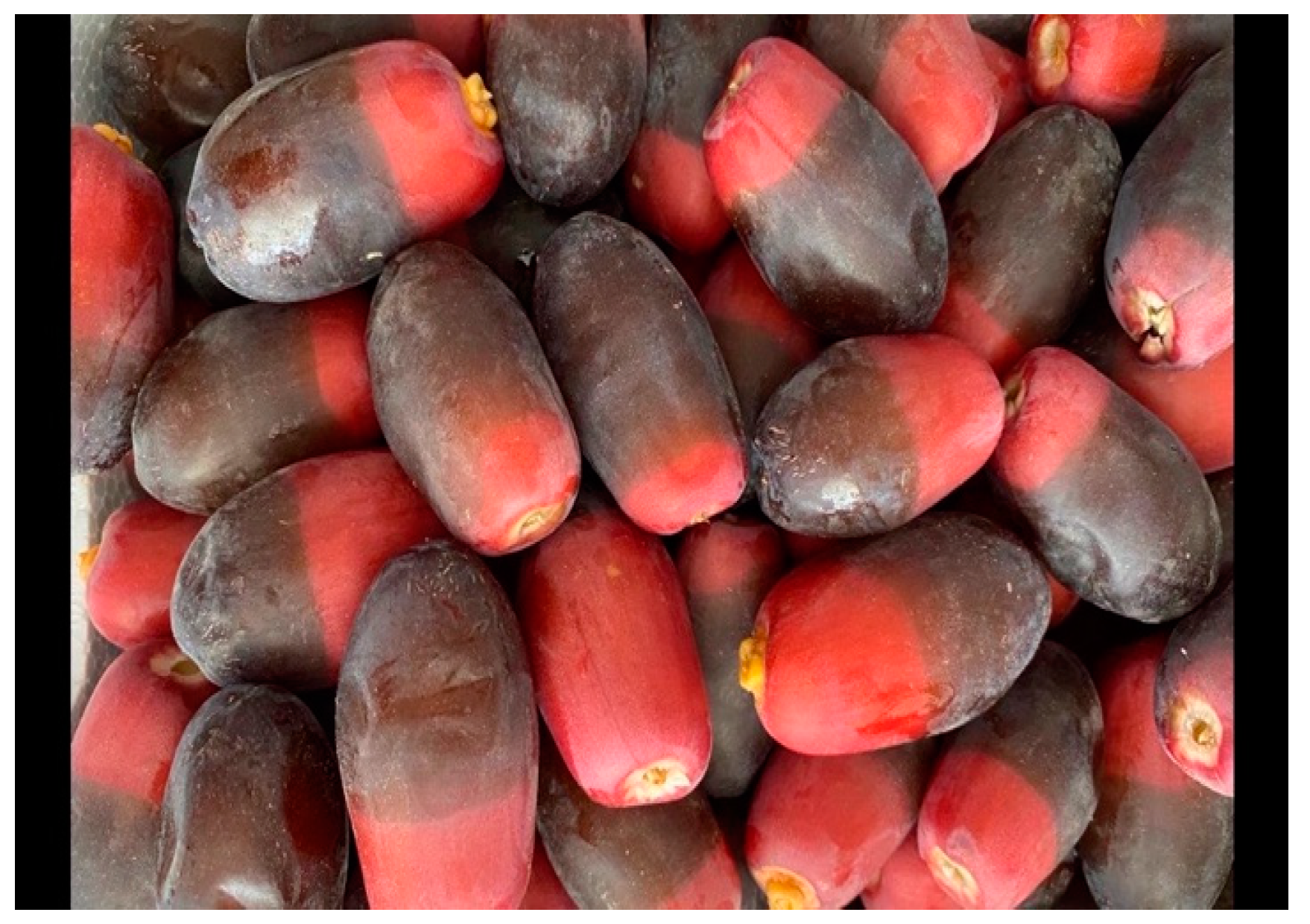 Electronics 12 00665 g004