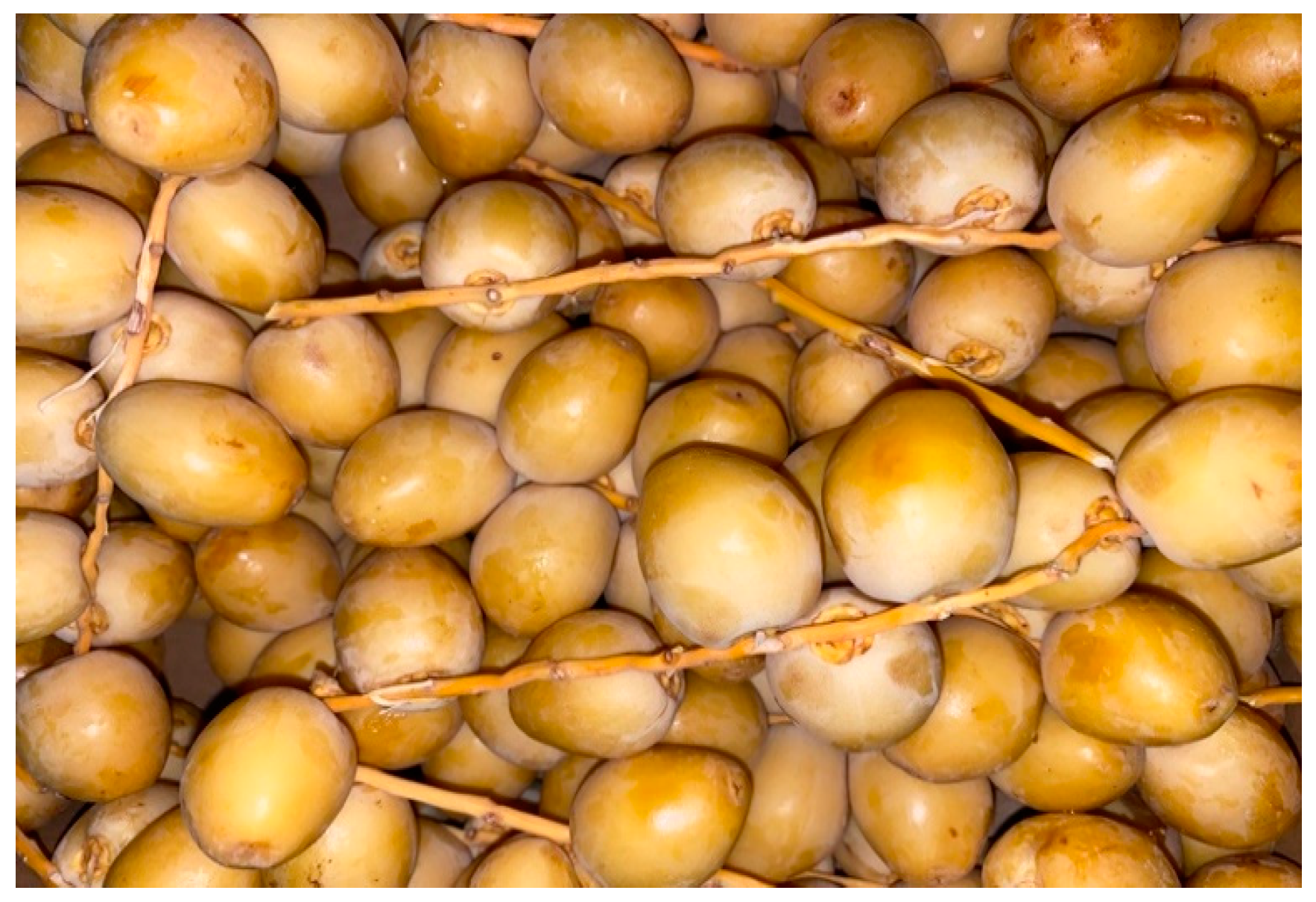 Electronics 12 00665 g008