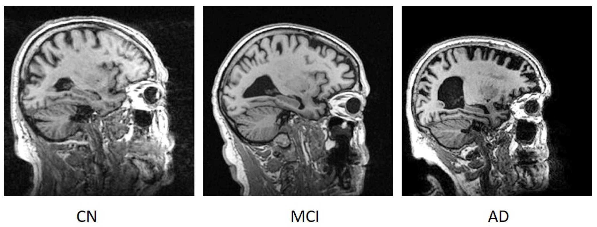 Electronics 12 00676 g001 Electronics 12 00676 g001