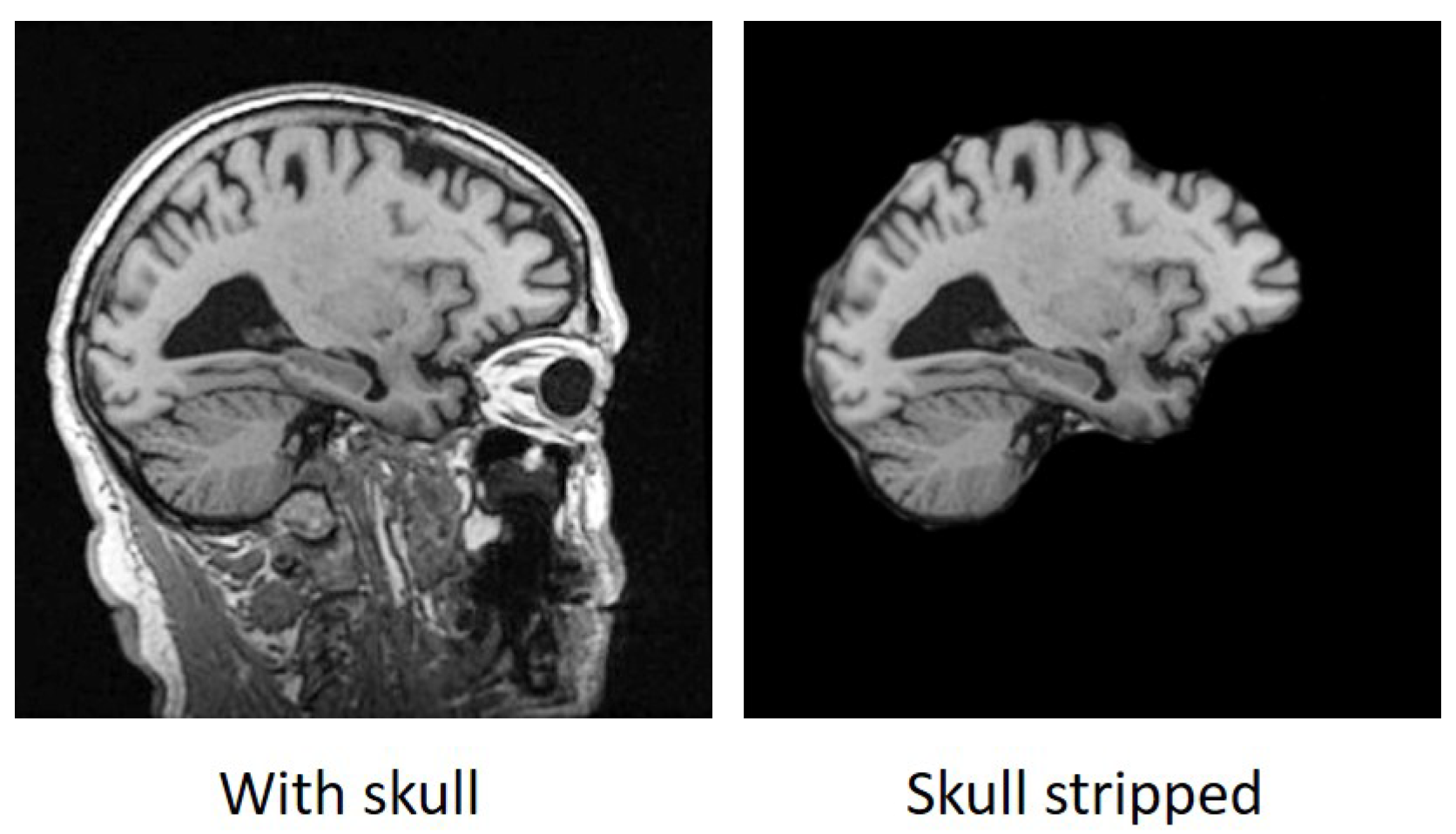 Electronics 12 00676 g002 Electronics 12 00676 g002