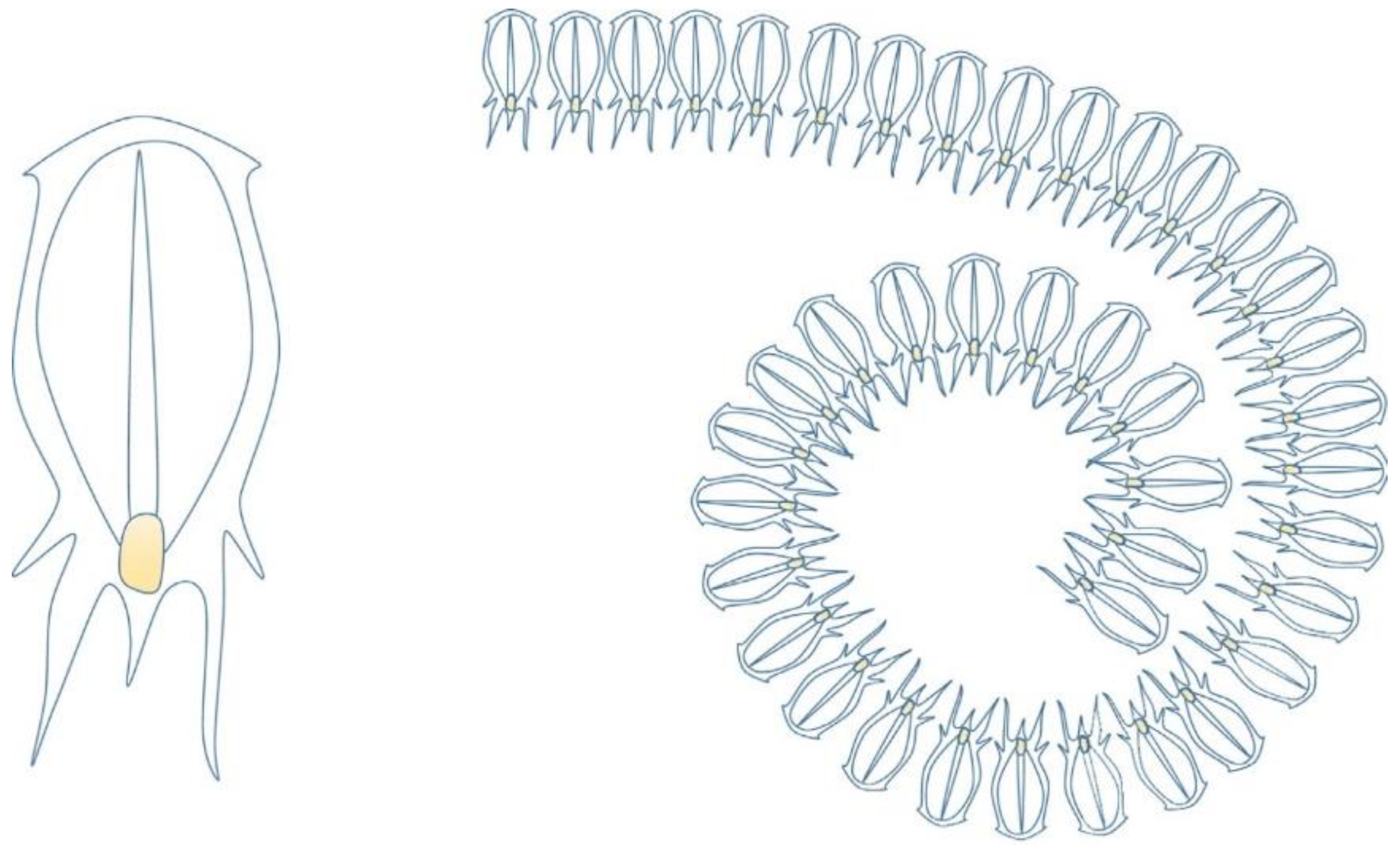 Electronics 12 00715 g002