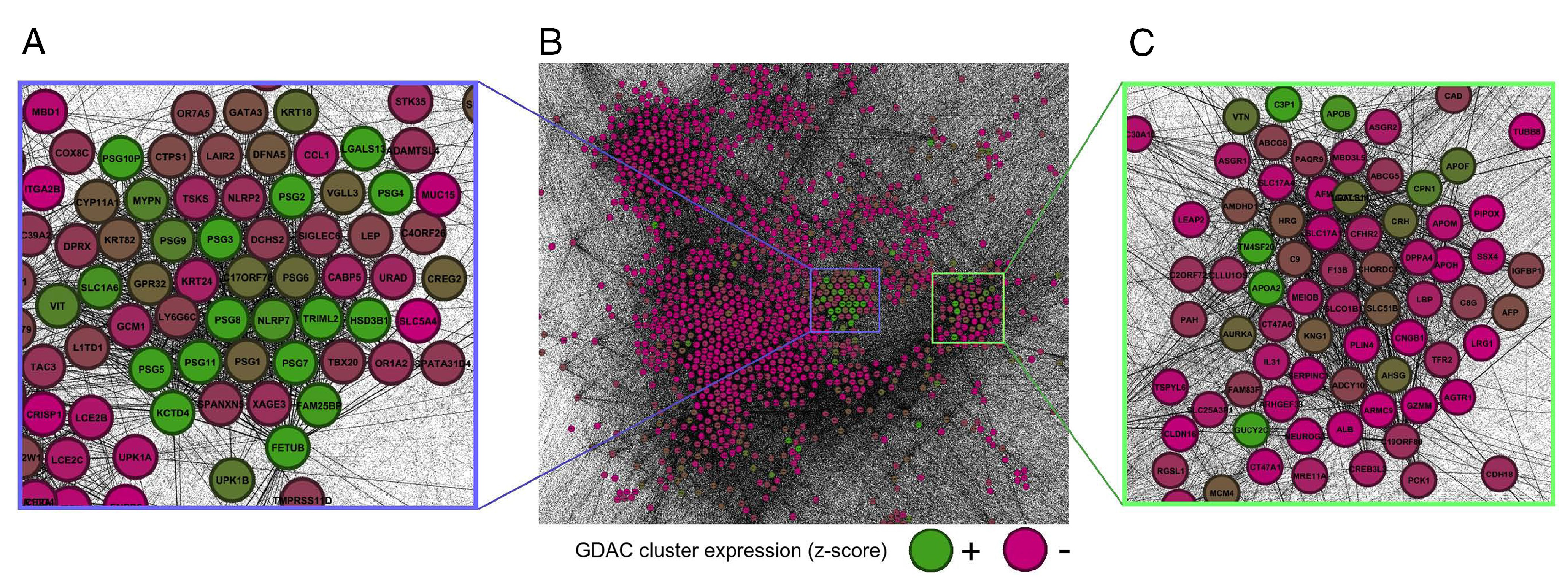 Electronics 12 00743 g013