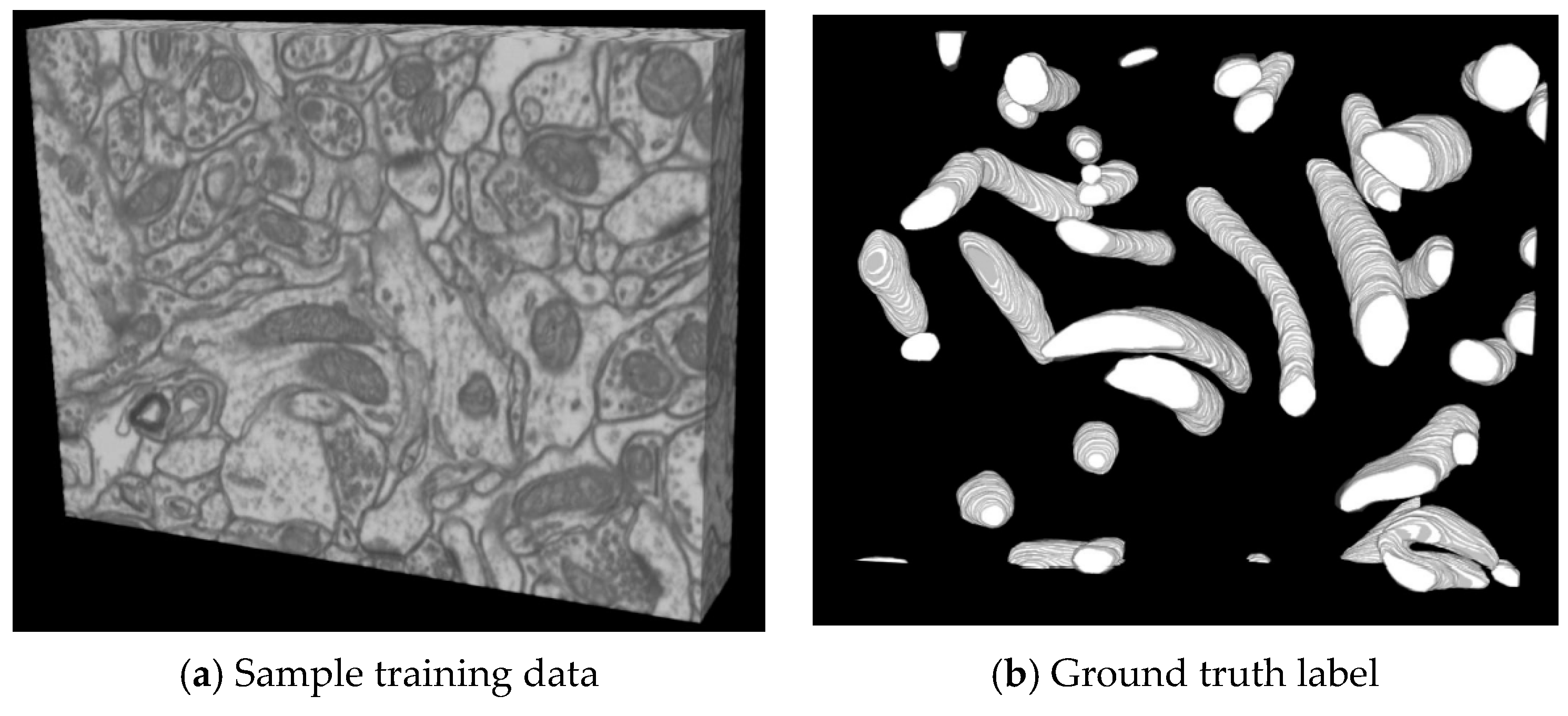 Electronics 12 00928 g002