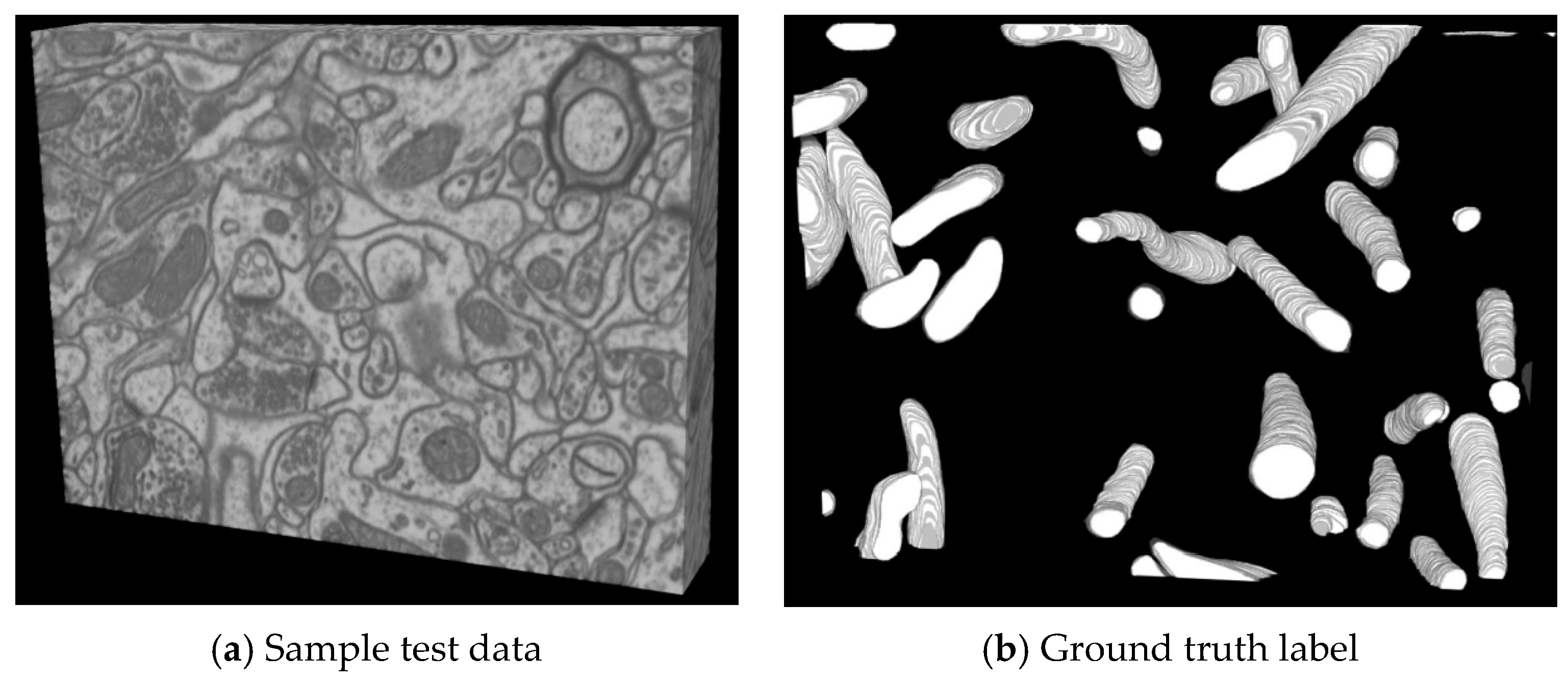 Electronics 12 00928 g003