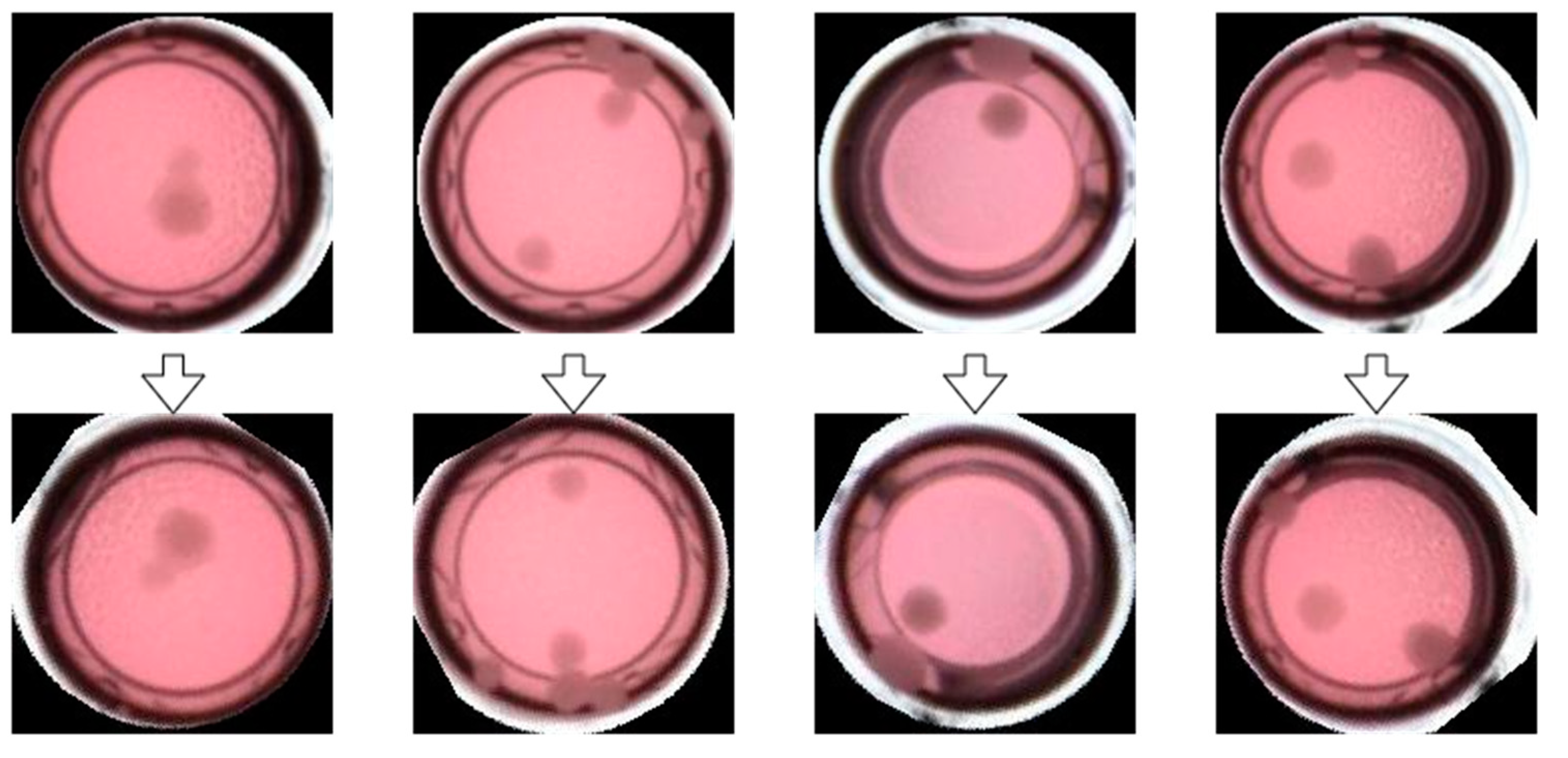 Electronics 12 00979 g010