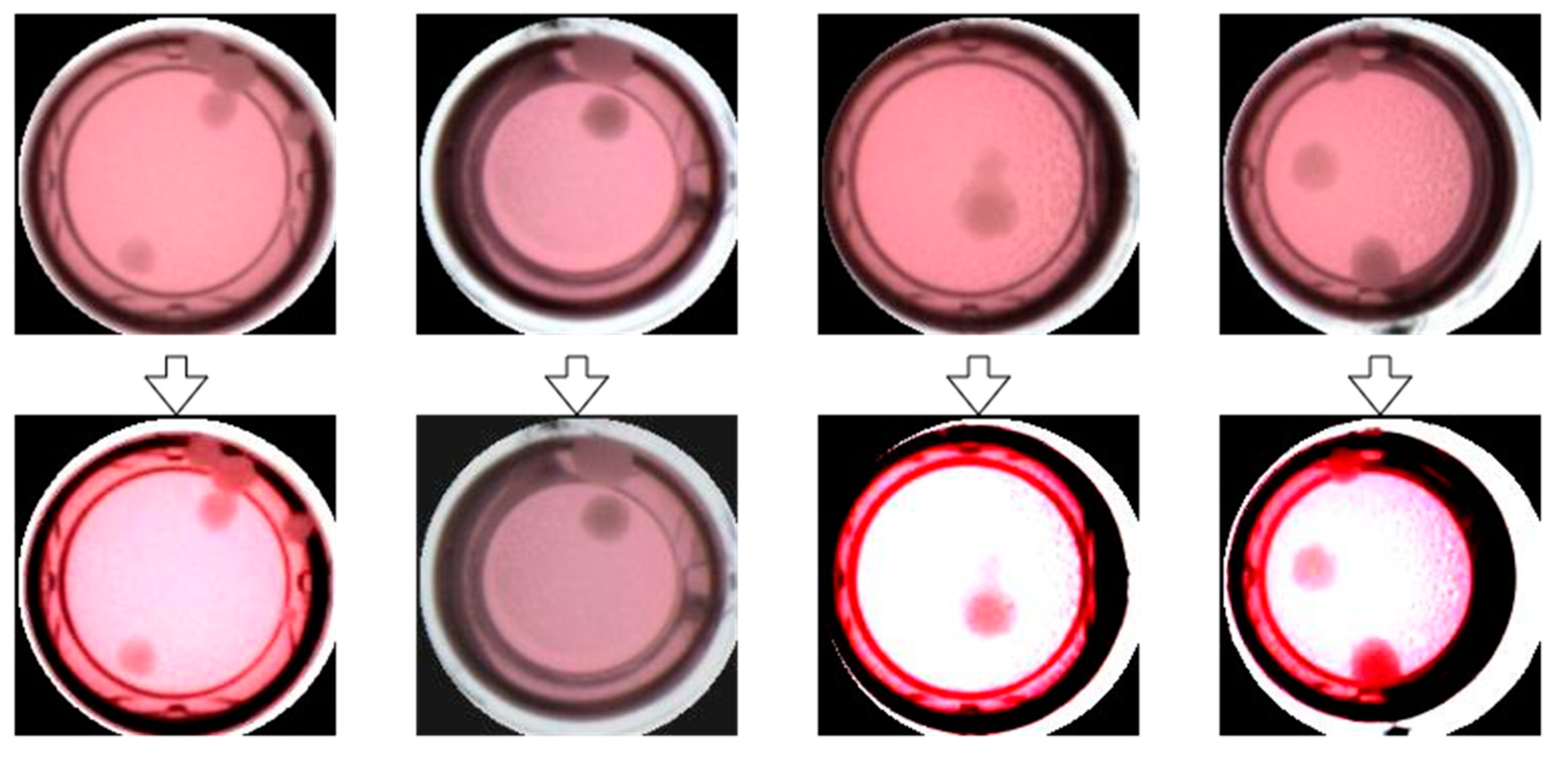 Electronics 12 00979 g011