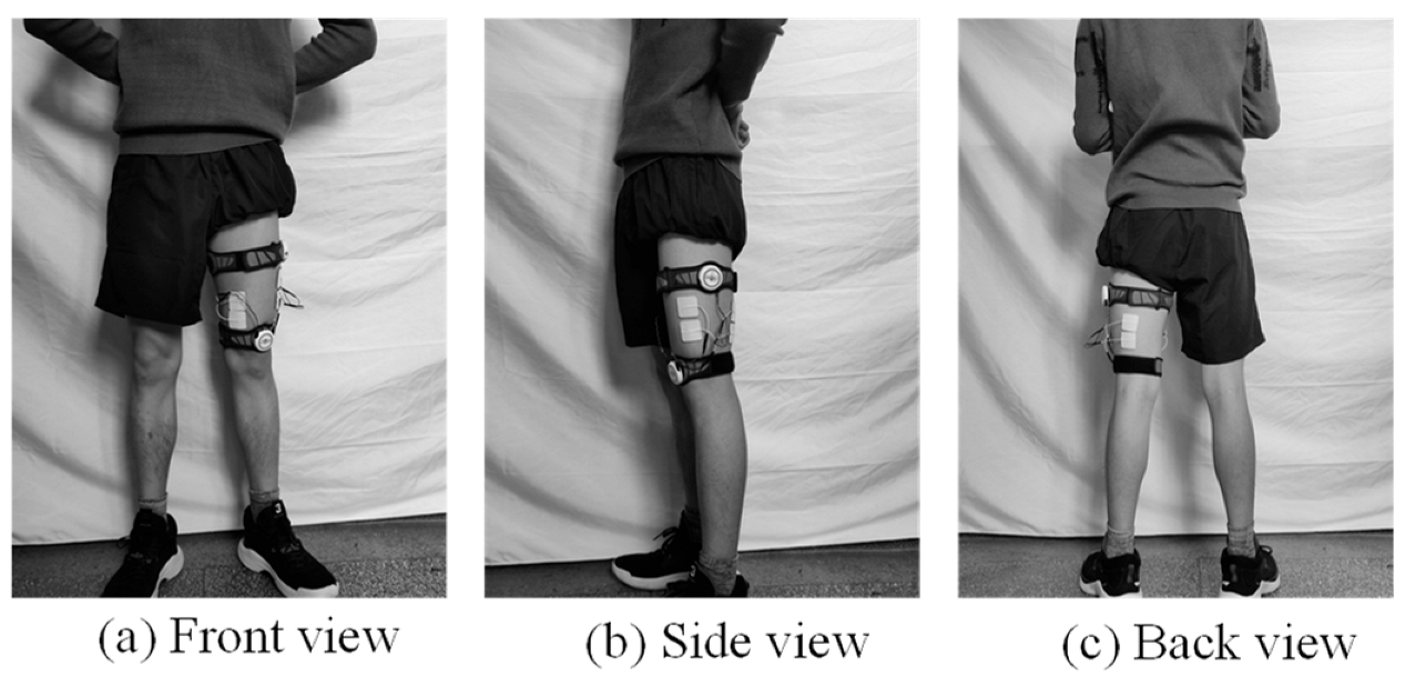 Electronics 12 01040 g001 Electronics 12 01040 g001