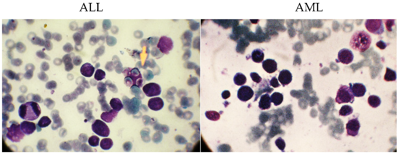 Electronics 12 01116 g002