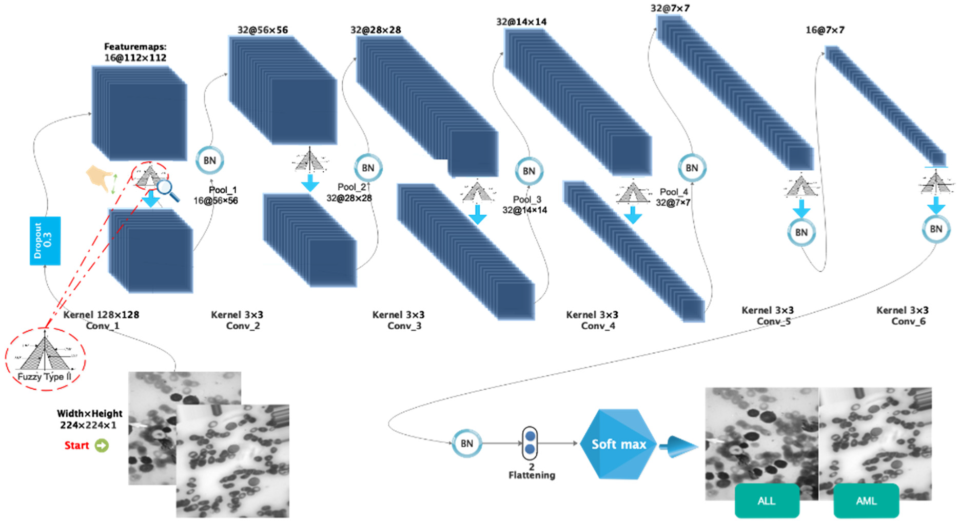 Electronics 12 01116 g003