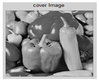 Electronics 12 01222 i001