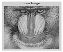 Electronics 12 01222 i003