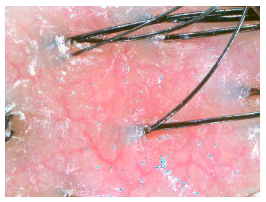 Electronics 12 01380 g002 Electronics 12 01380 g002