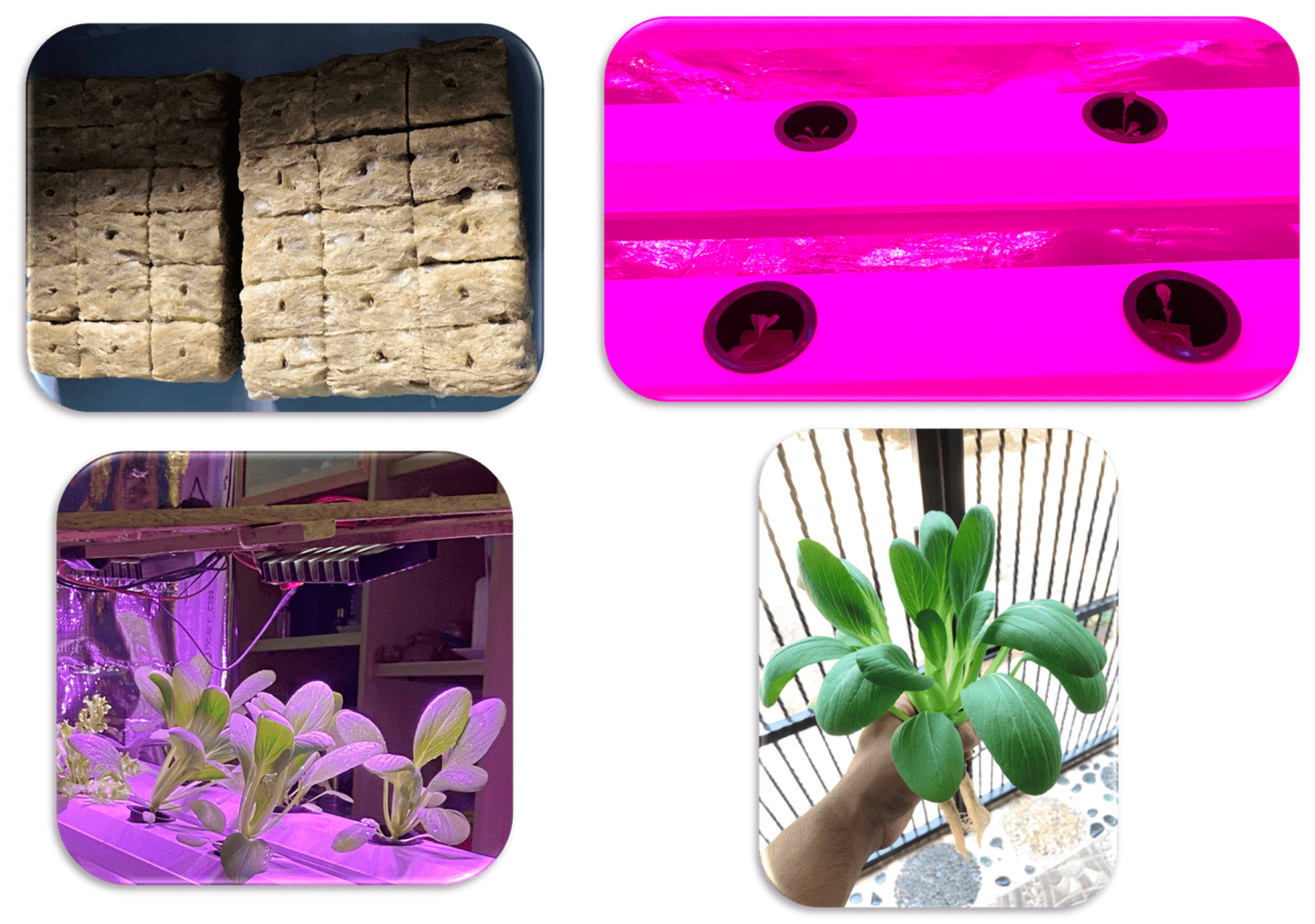 Electronics 12 01446 g014