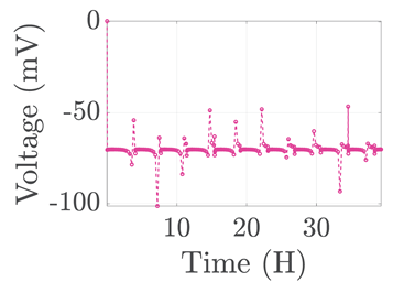 Electronics 12 01478 i003 Electronics 12 01478 i003
