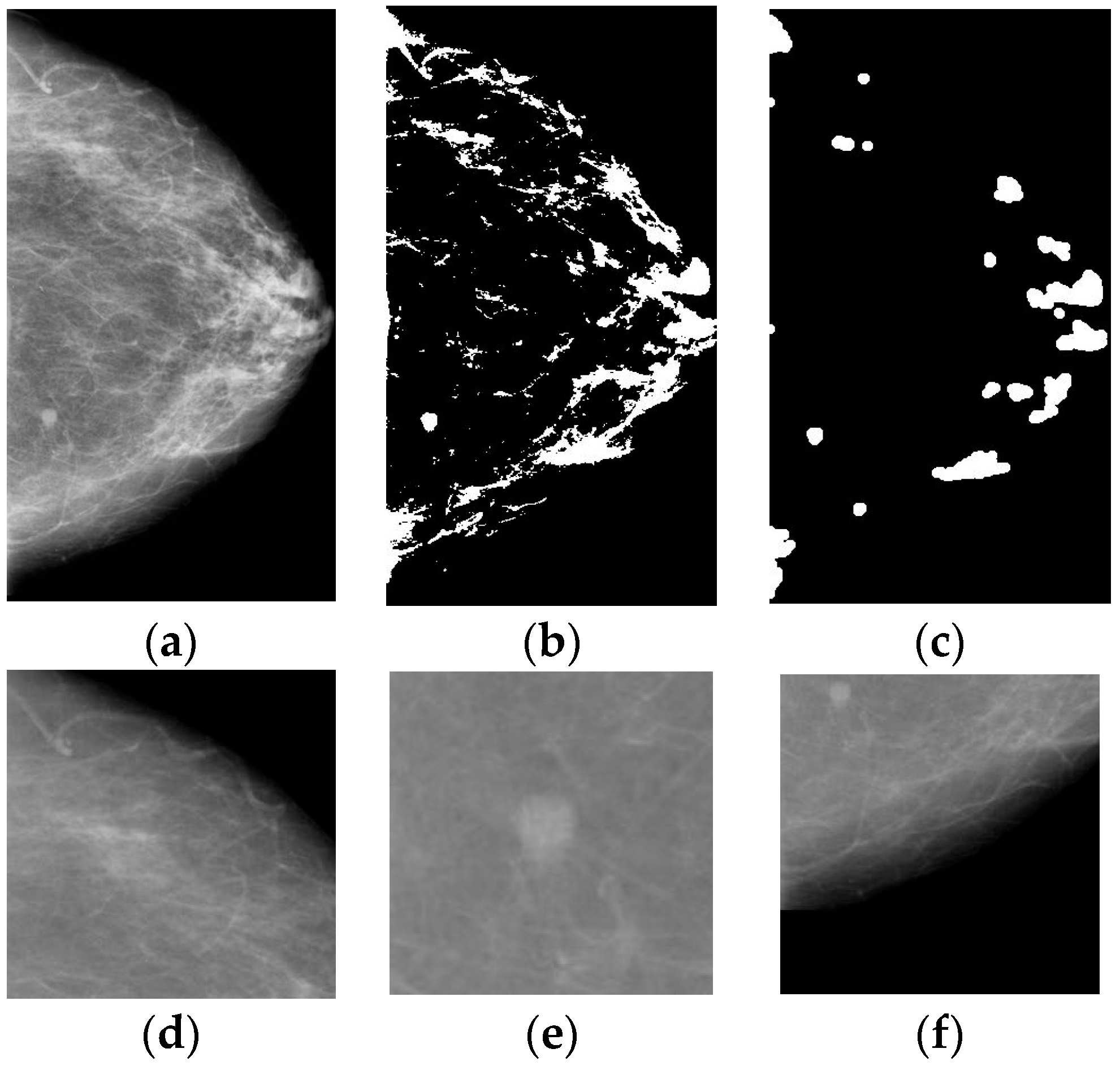 Electronics 12 01583 g002