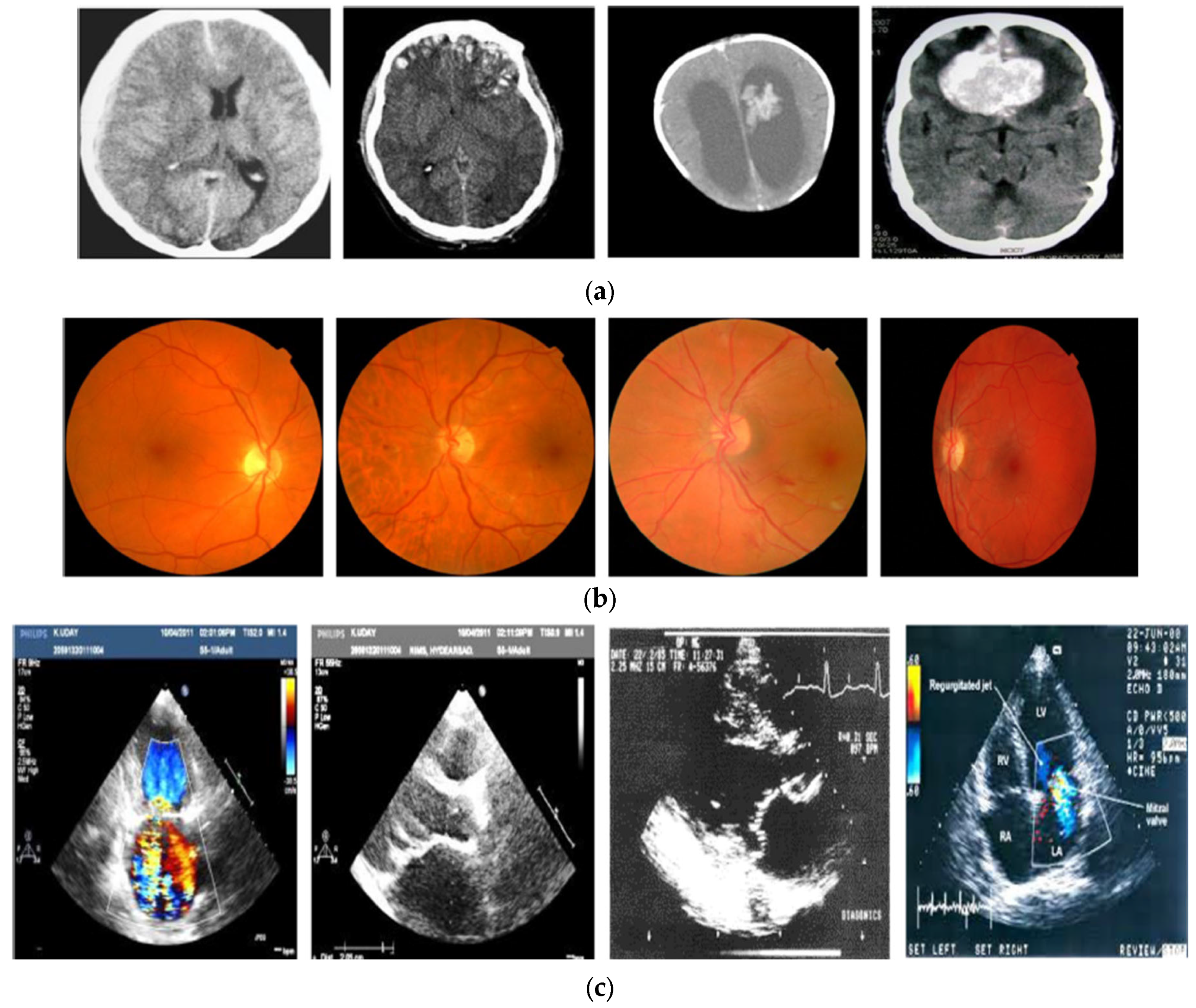 Electronics 12 01636 g003