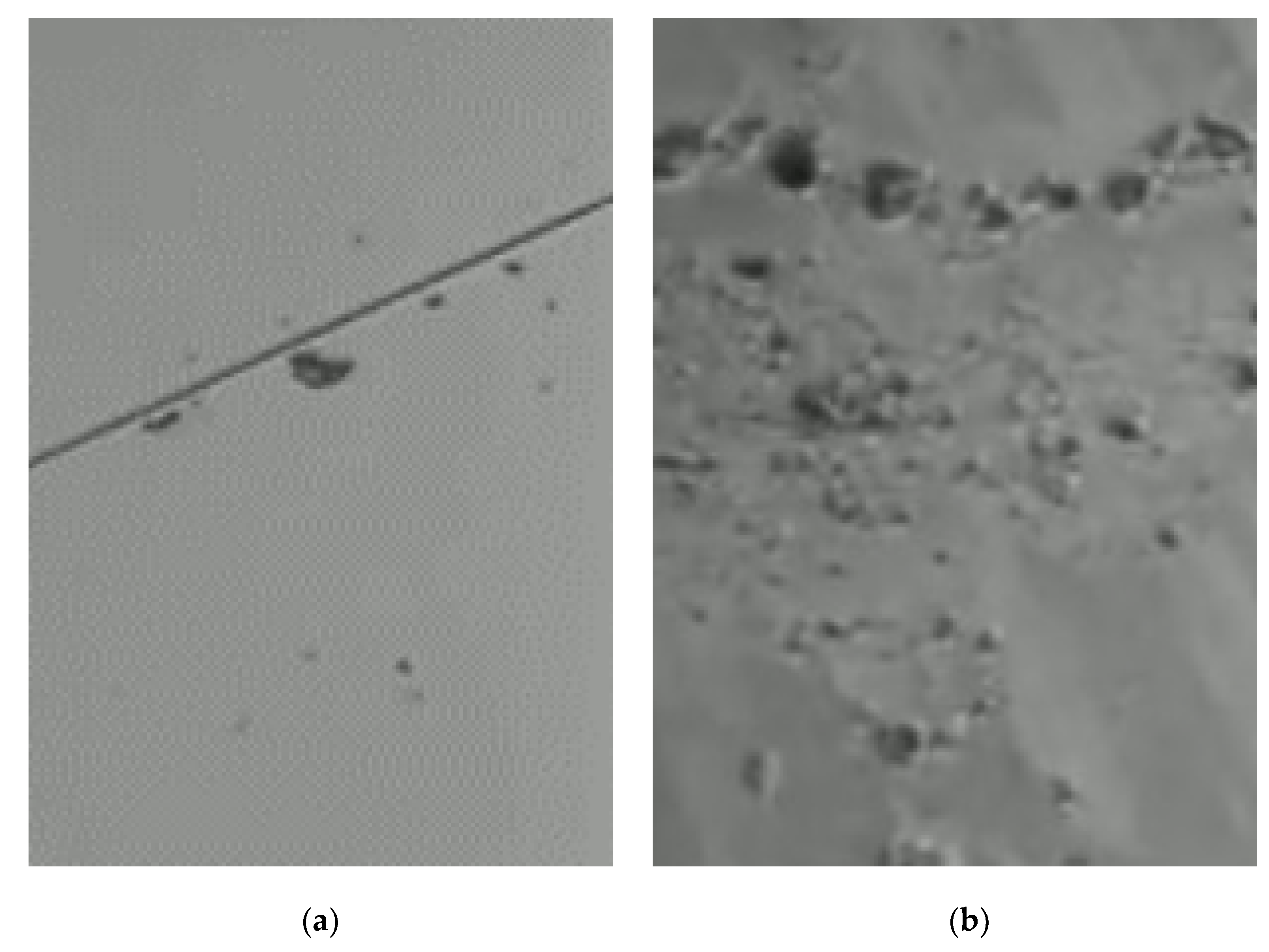 Electronics 12 01787 g001