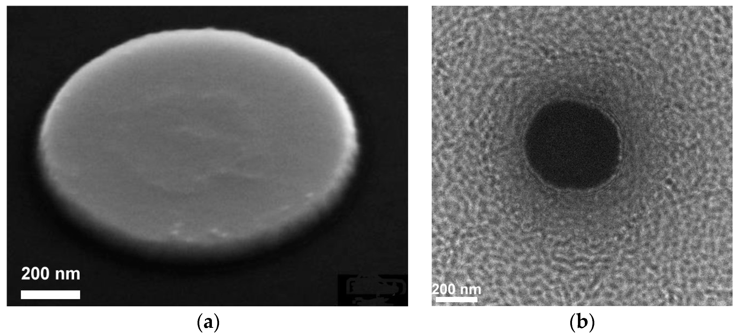 Electronics 12 02144 g009